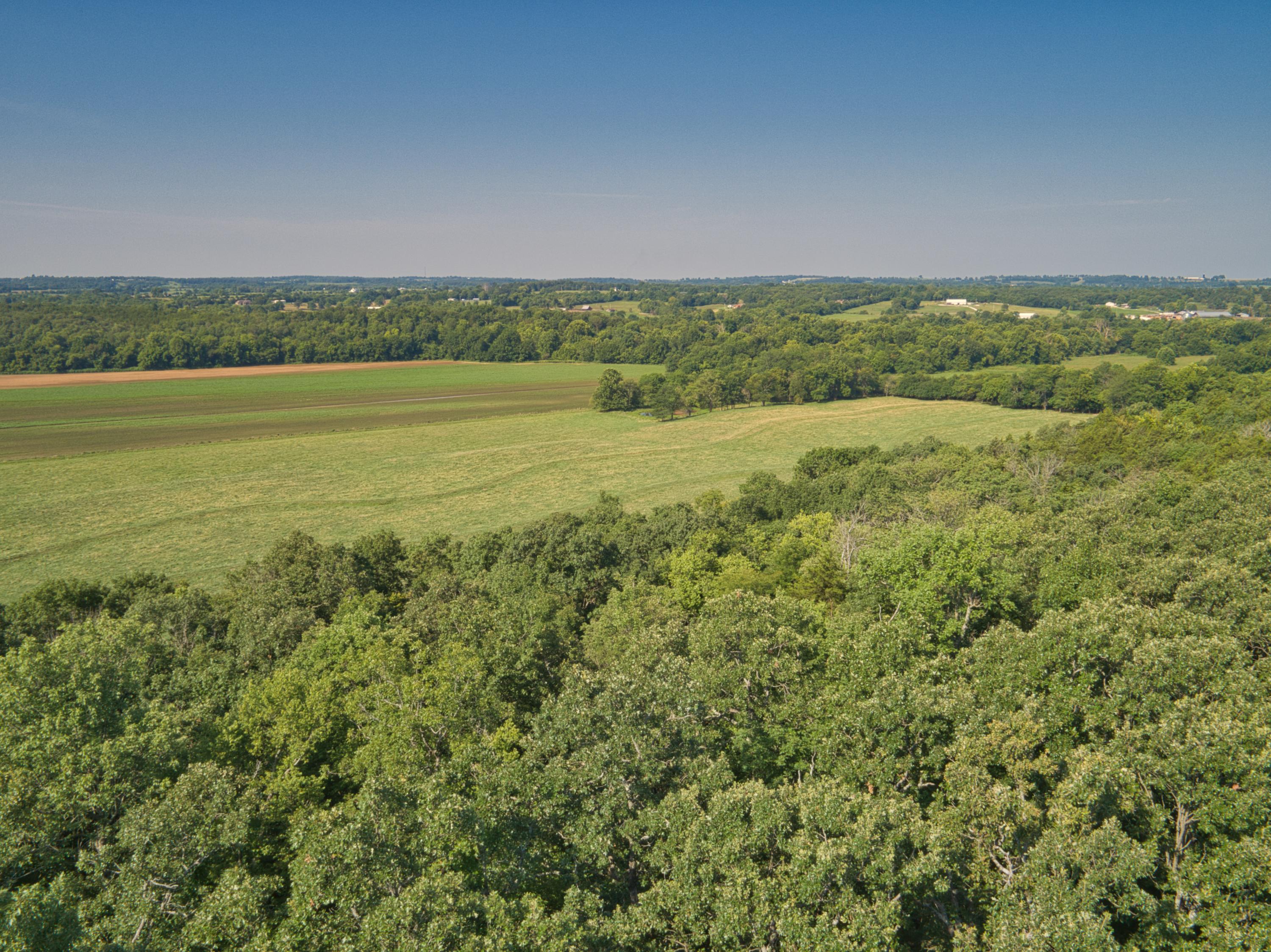 Photo 8 - Land for sale – 000 E 517th Road   Halfway, MO