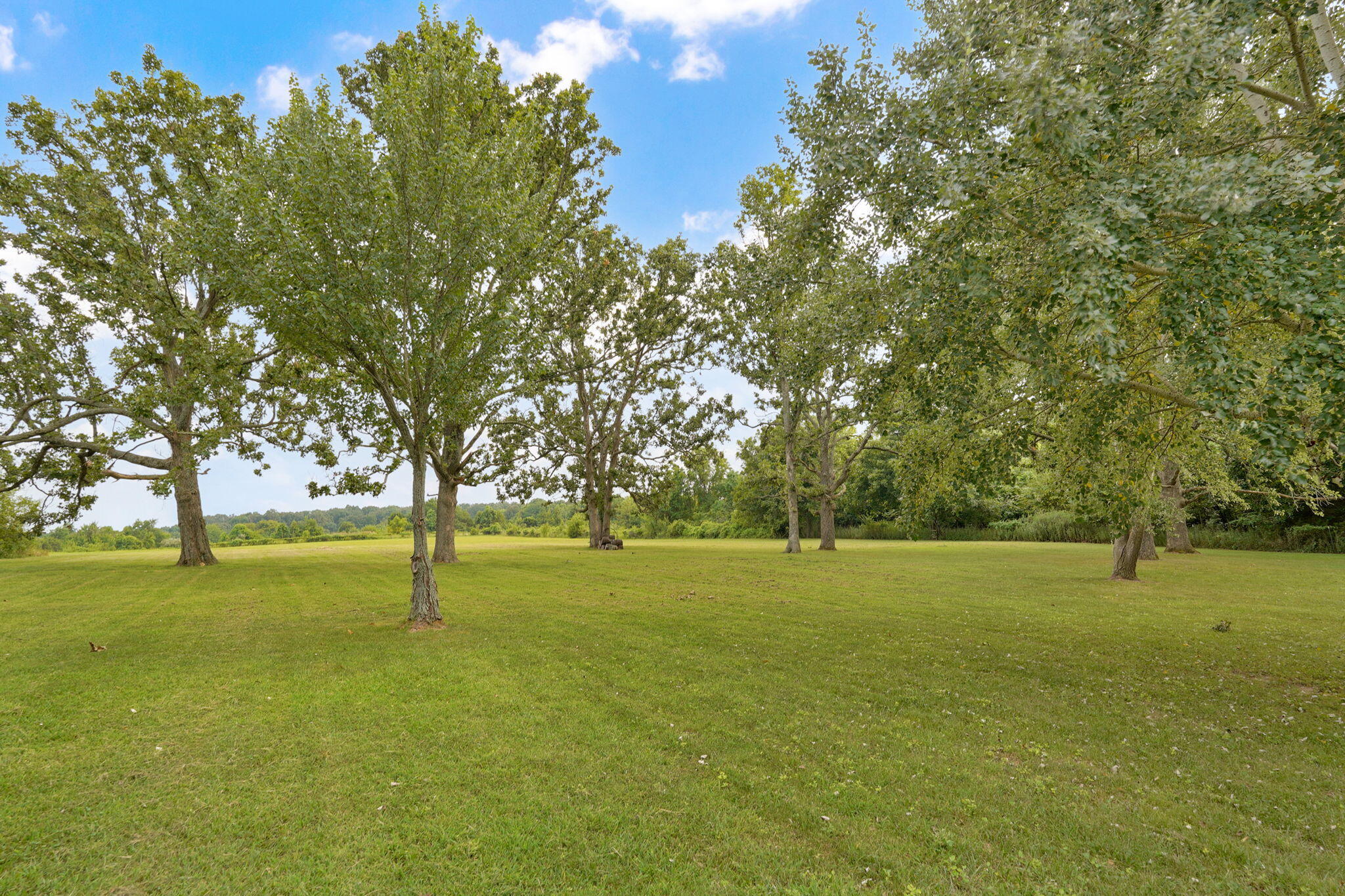 Photo 50 - Residential for sale – 8592 W Farm Road 104   Willard, MO