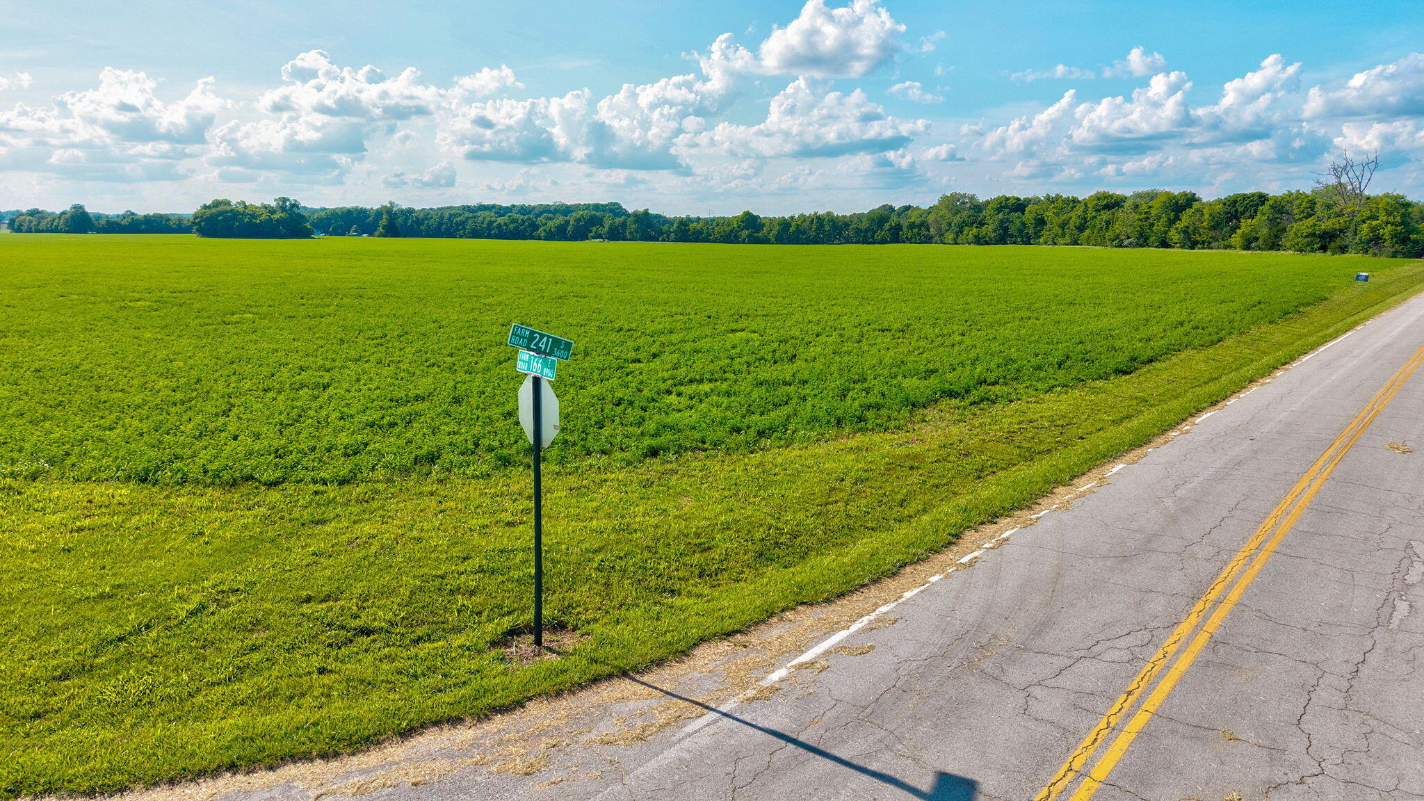 Photo 6 - Land for sale – 000 E Farm Road 166   Rogersville, MO
