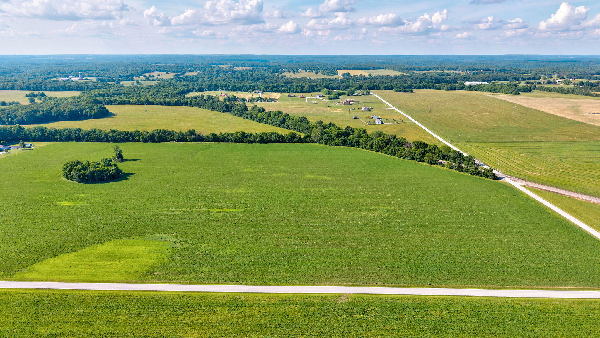 Photo 3 - Land for sale – 000 E Farm Road 166   Rogersville, MO