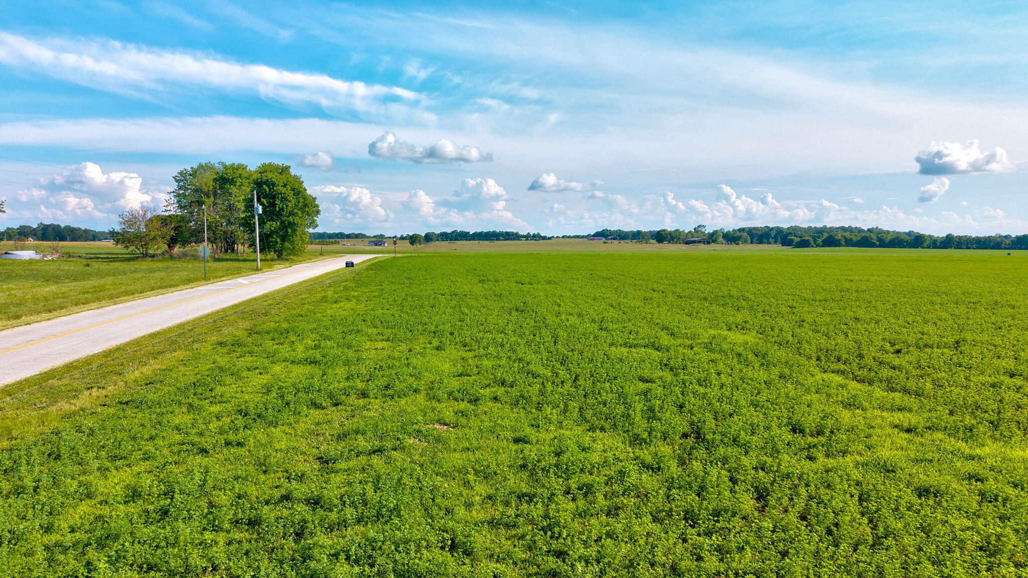Photo 5 - Land for sale – 000 E Farm Road 166   Rogersville, MO