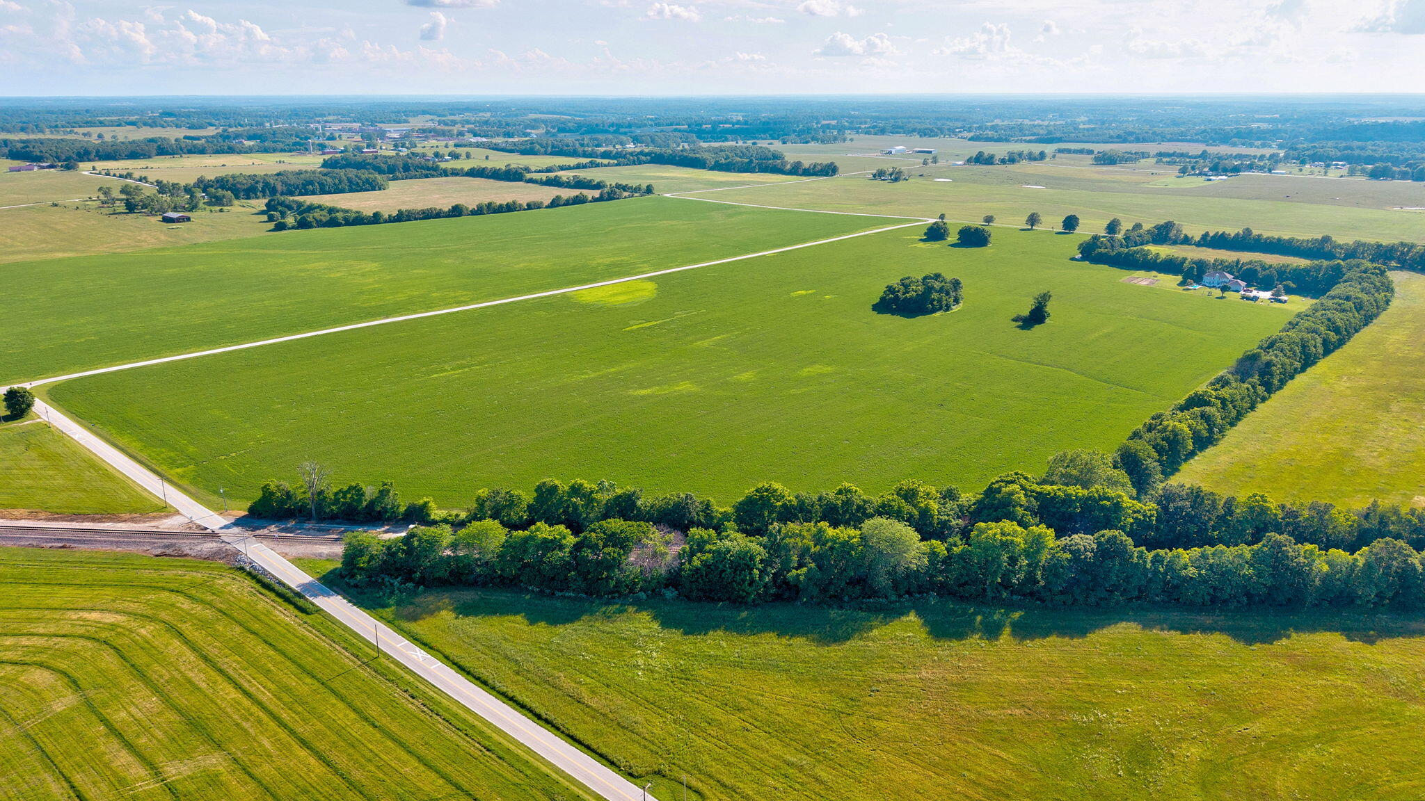 Photo 4 - Land for sale – 000 E Farm Road 166   Rogersville, MO