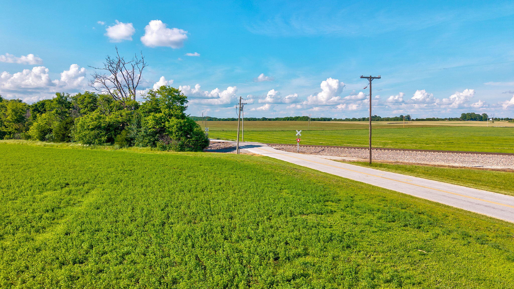 Photo 7 - Land for sale – 000 E Farm Road 166   Rogersville, MO