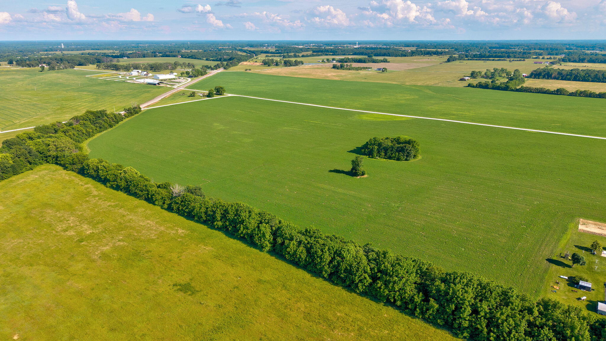 Photo 8 - Land for sale – 000 E Farm Road 166   Rogersville, MO