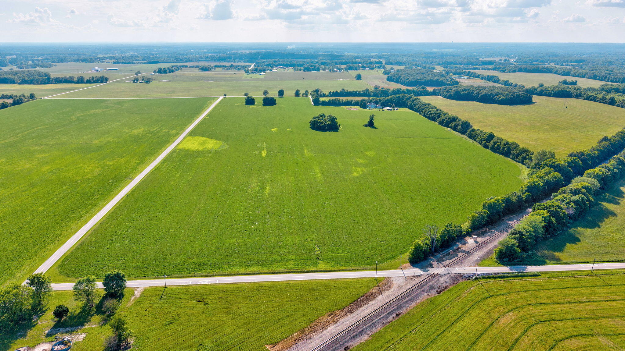 Photo 9 - Land for sale – 000 E Farm Road 166   Rogersville, MO