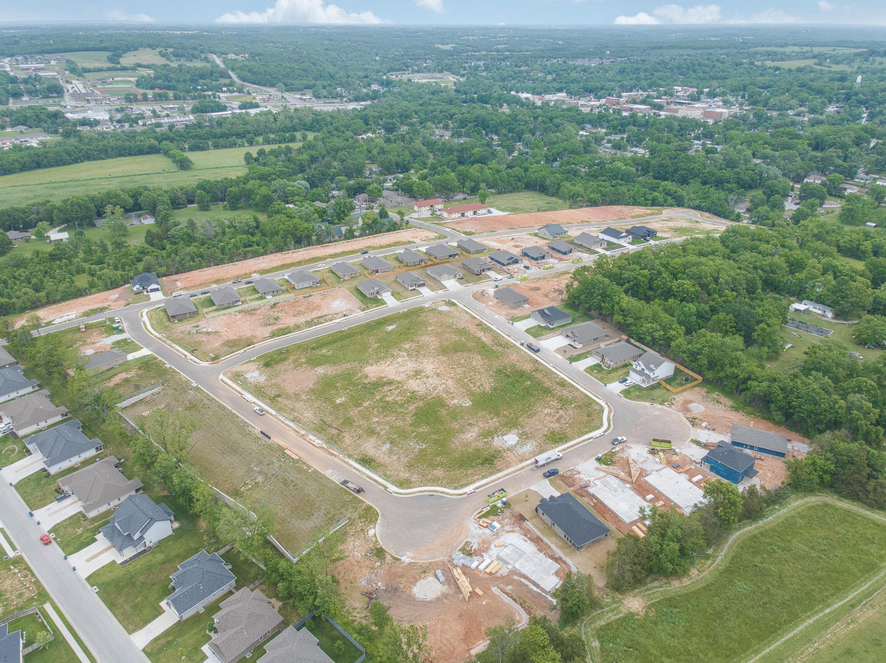 Photo 11 - Land for sale – 806 S Bill Hanks Lane  Ozark, MO