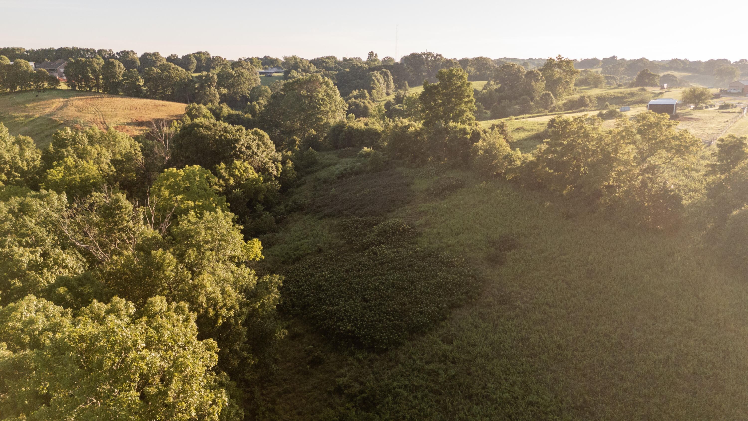 Photo 6 - Land for sale – 000  Jasper Rd   Spokane, MO