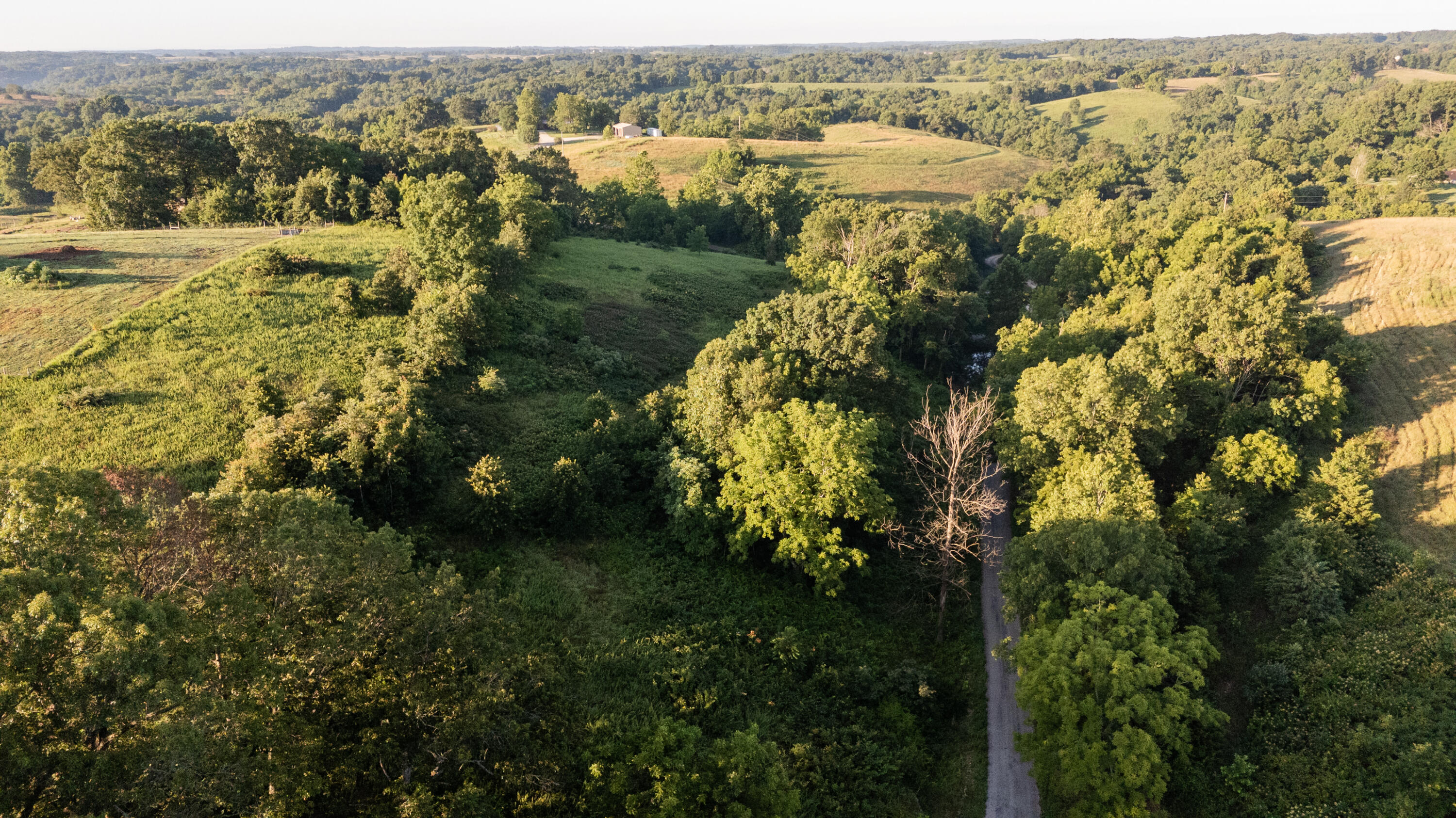 Photo 12 - Land for sale – 000  Jasper Rd   Spokane, MO
