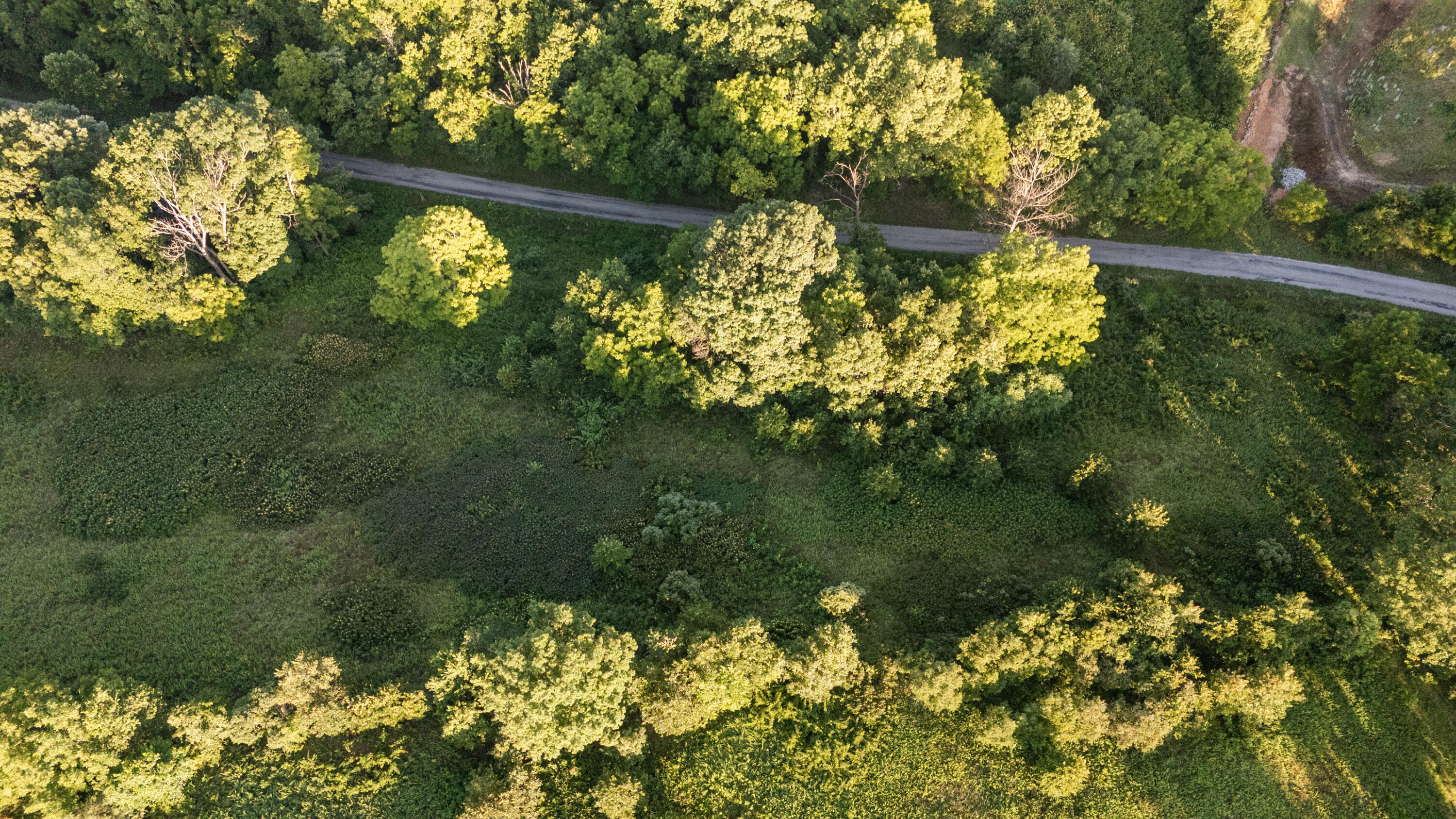 Photo 13 - Land for sale – 000  Jasper Rd   Spokane, MO