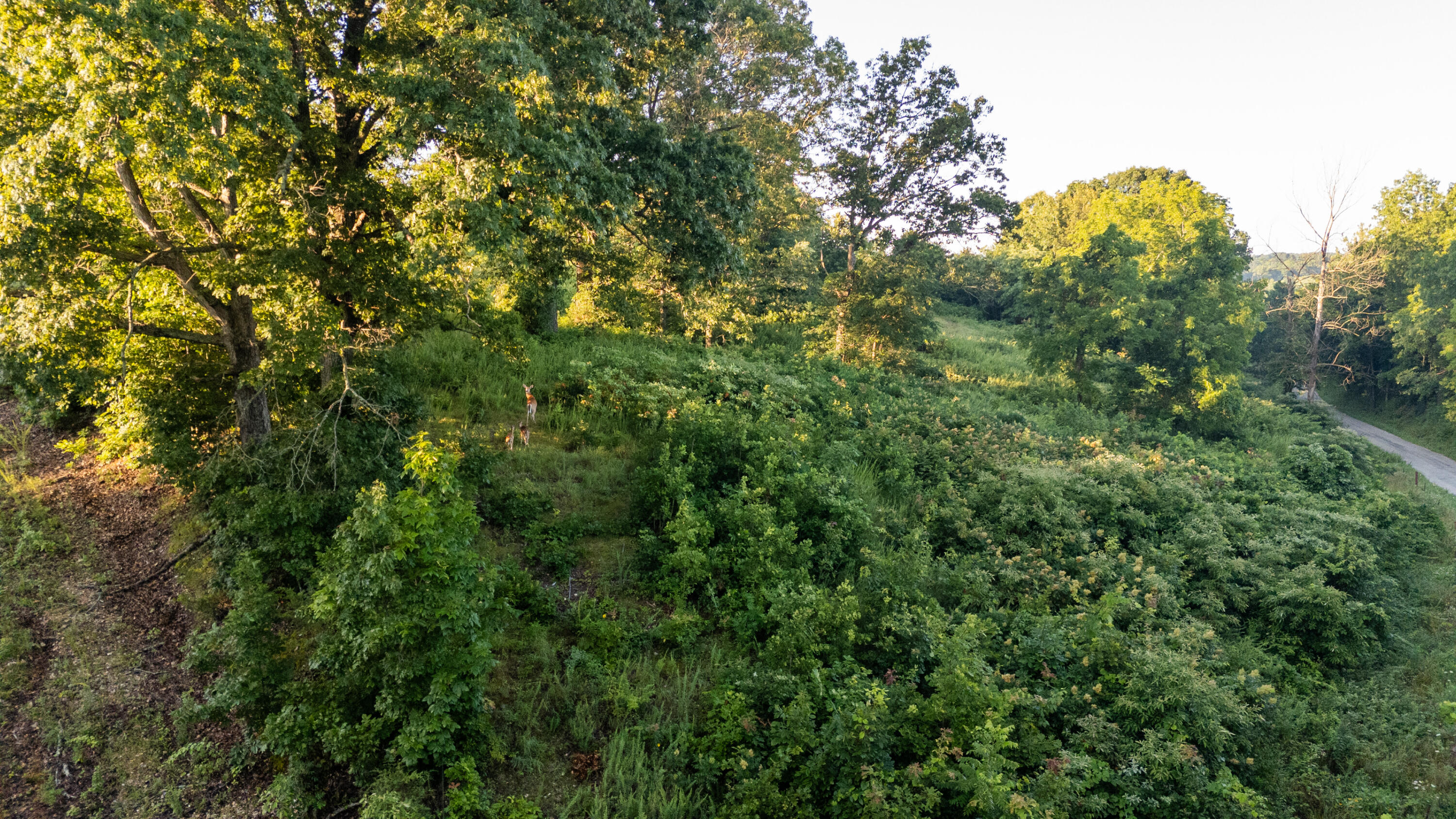 Photo 29 - Land for sale – 000  Jasper Rd   Spokane, MO