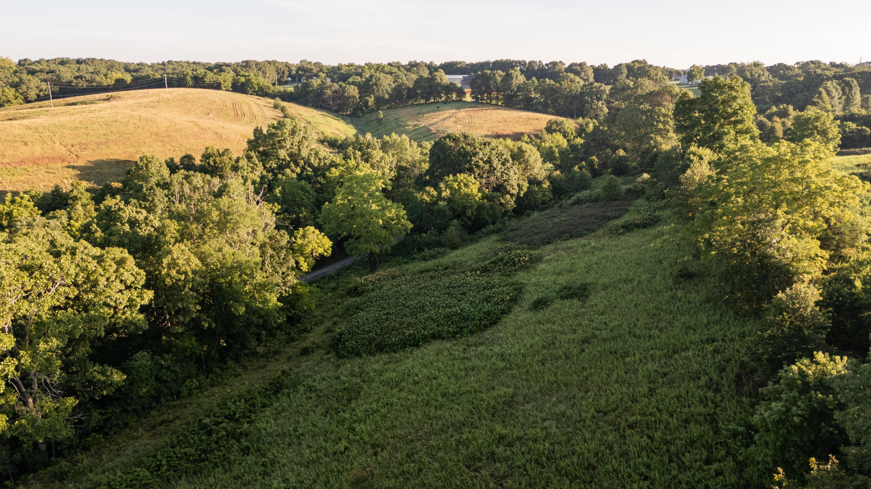 Photo 5 - Land for sale – 000  Jasper Rd   Spokane, MO