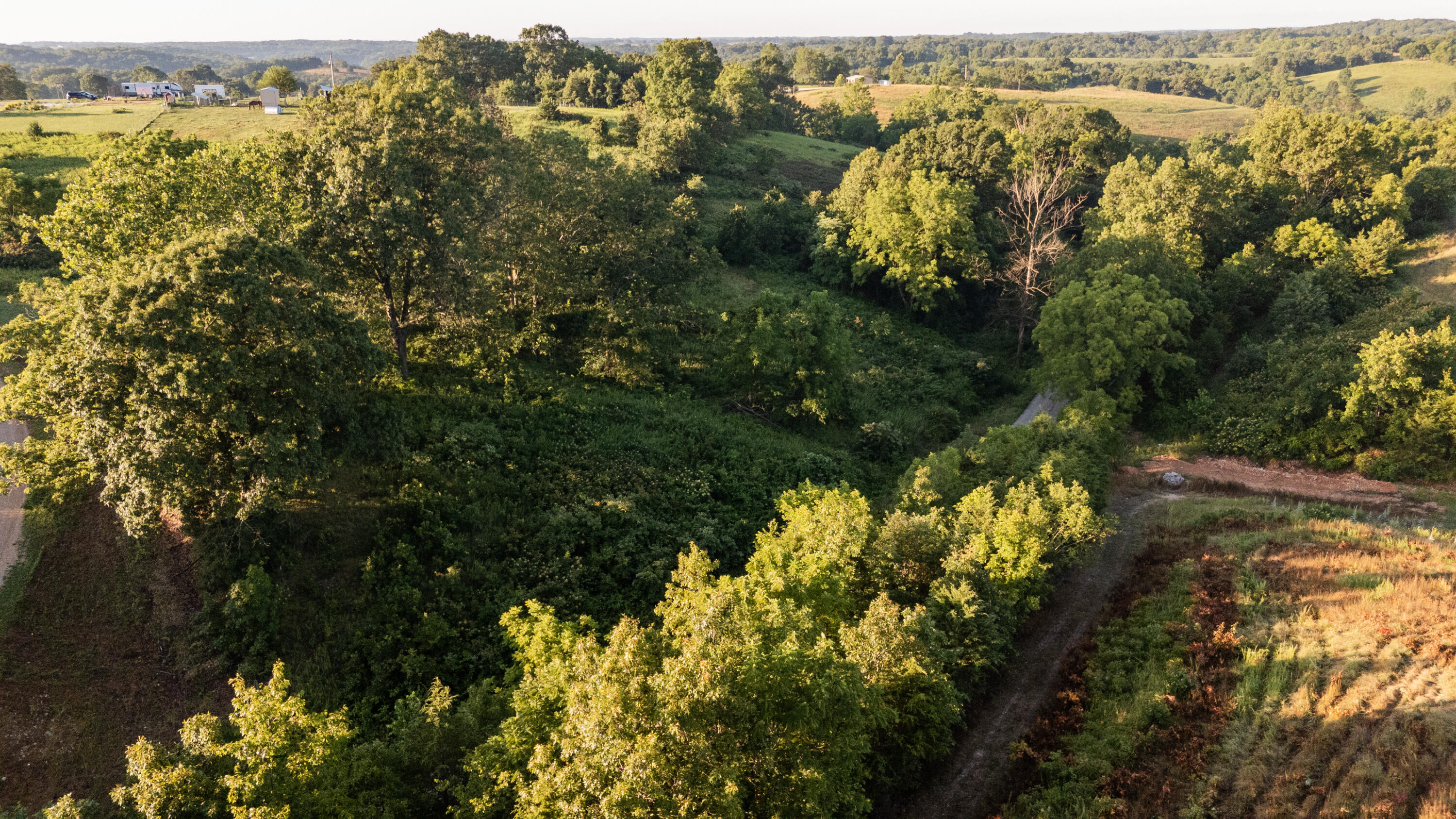 Photo 10 - Land for sale – 000  Jasper Rd   Spokane, MO