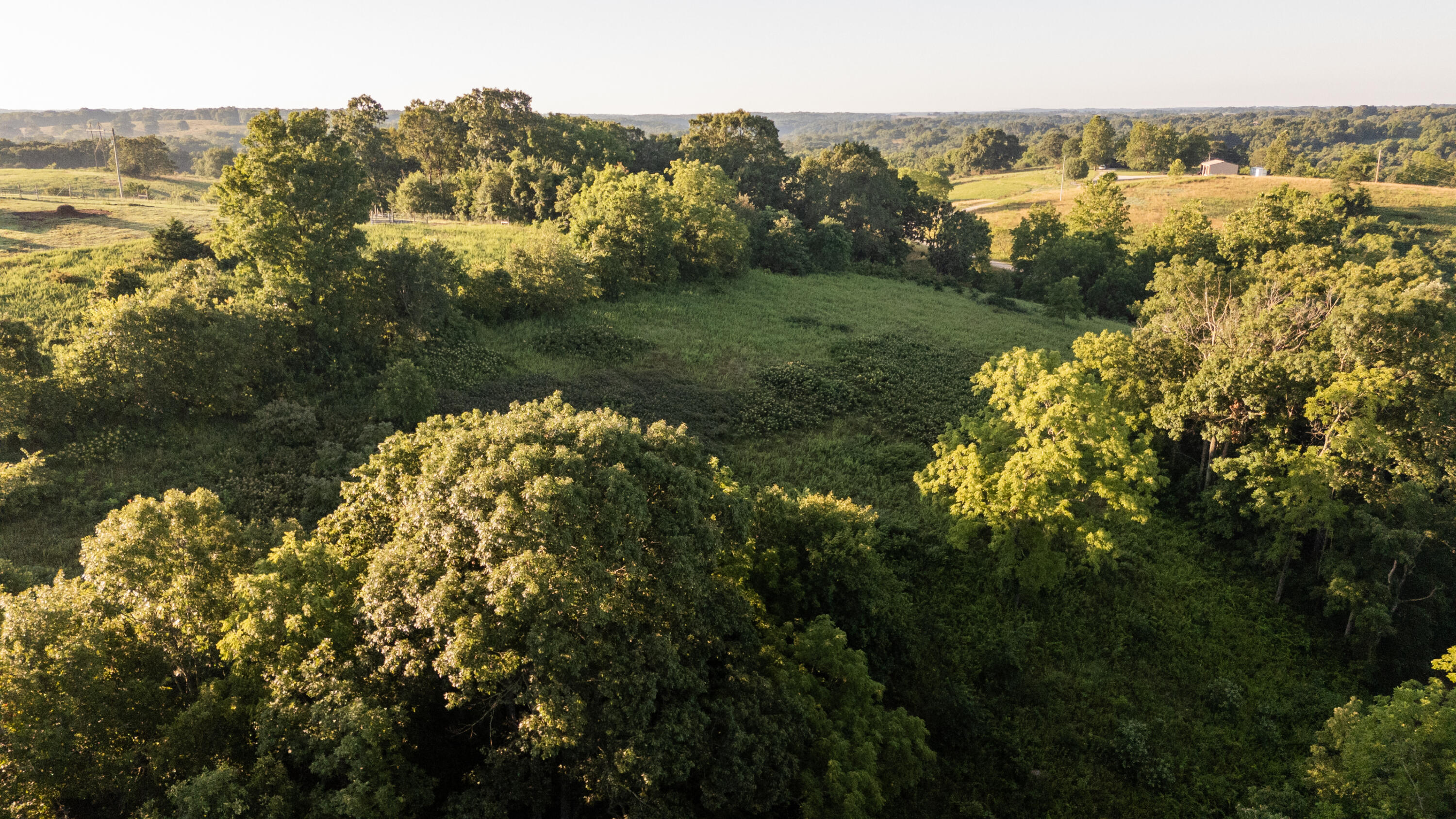 Photo 8 - Land for sale – 000  Jasper Rd   Spokane, MO