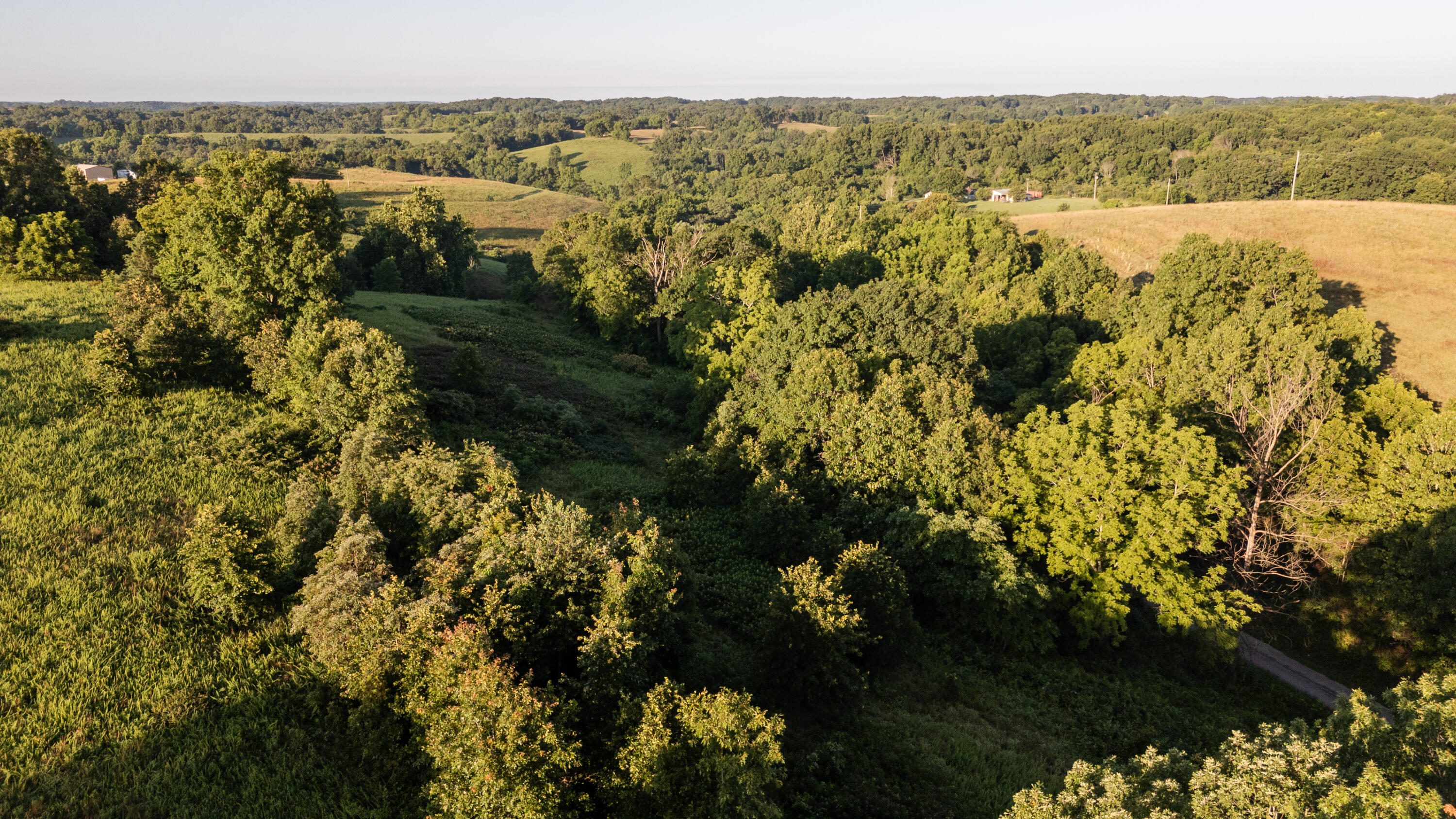 Photo 4 - Land for sale – 000  Jasper Rd   Spokane, MO