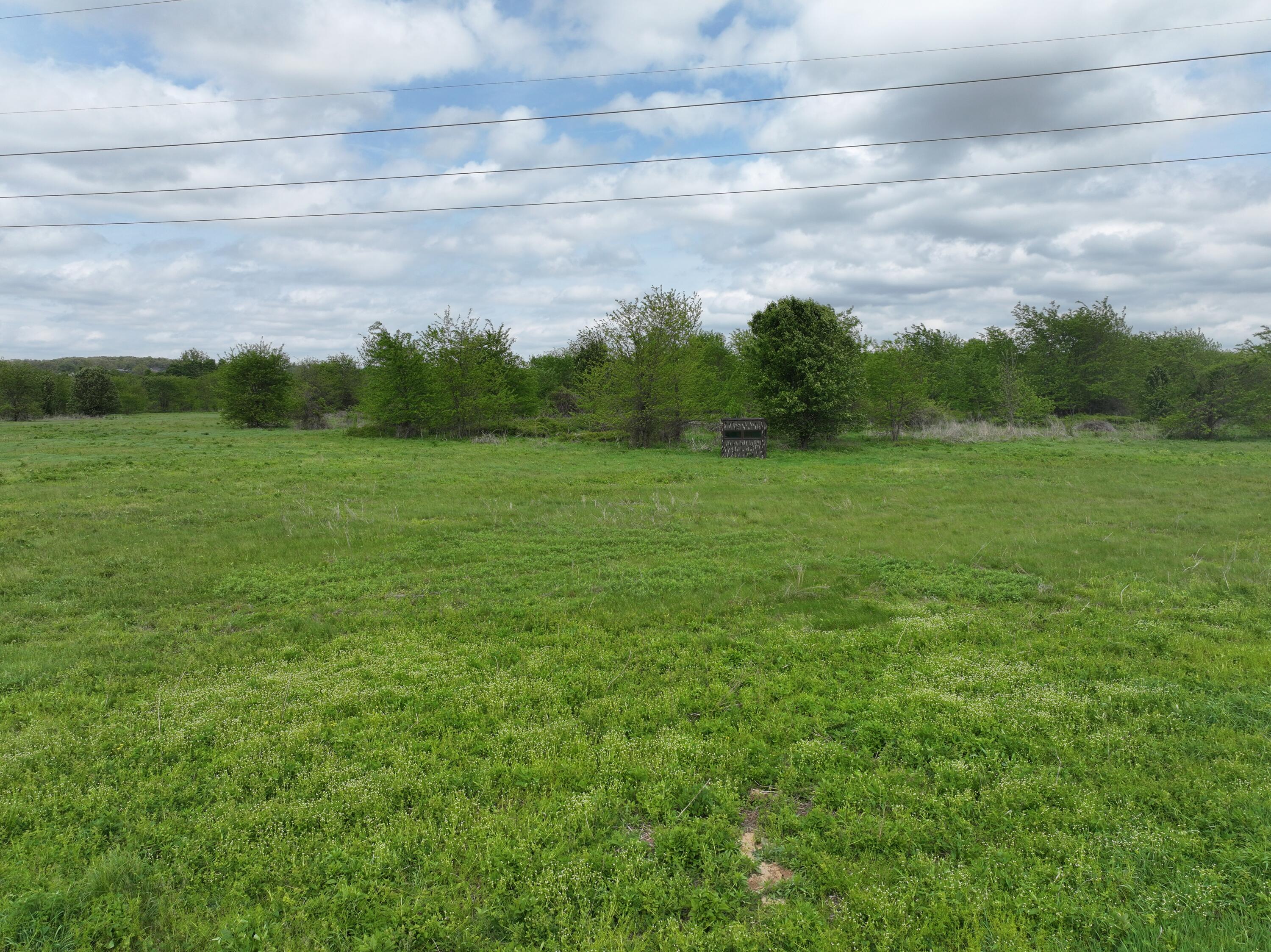 Photo 9 - Land for sale – 000 W Farm Road 186   Springfield, MO