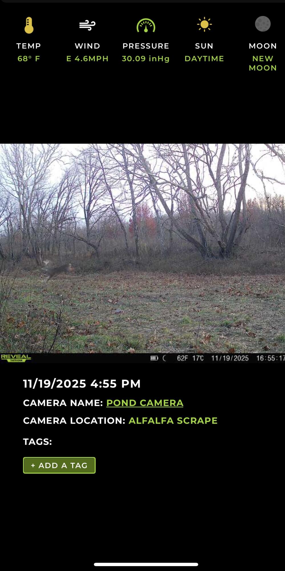 Photo 32 - Land for sale – 000 W Farm Road 186   Springfield, MO