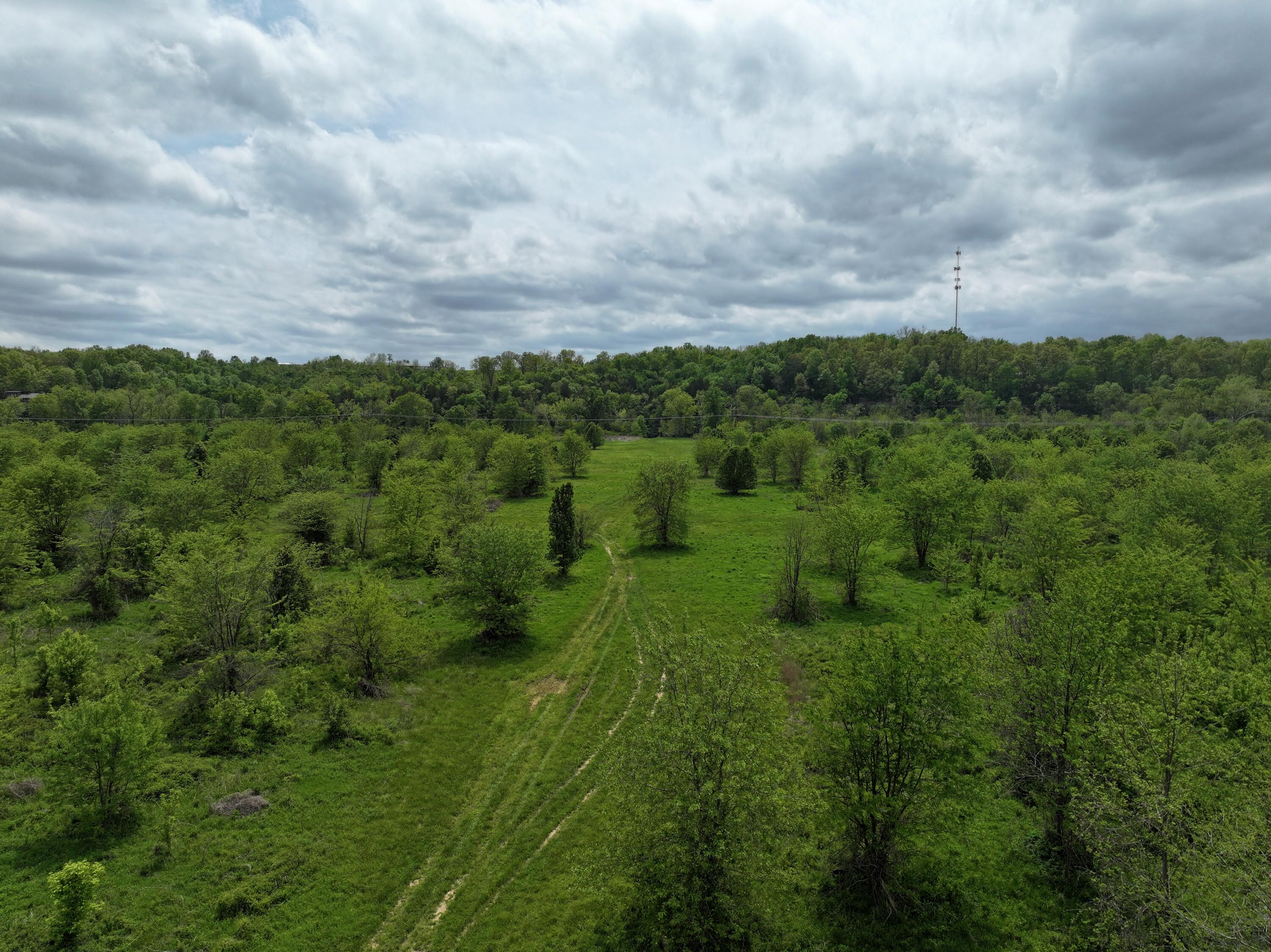 Photo 3 - Land for sale – 000 W Farm Road 186   Springfield, MO