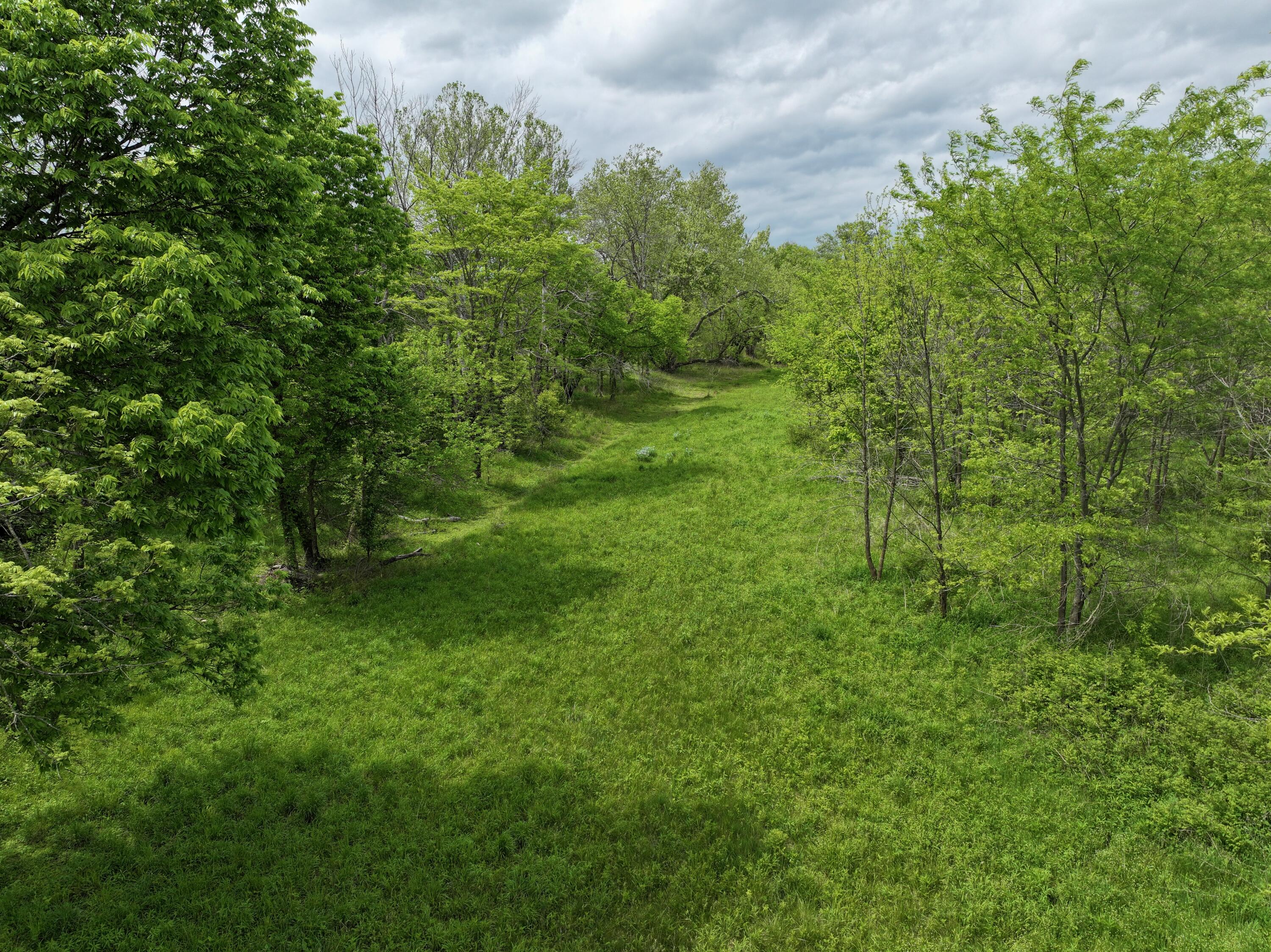 Photo 10 - Land for sale – 000 W Farm Road 186   Springfield, MO
