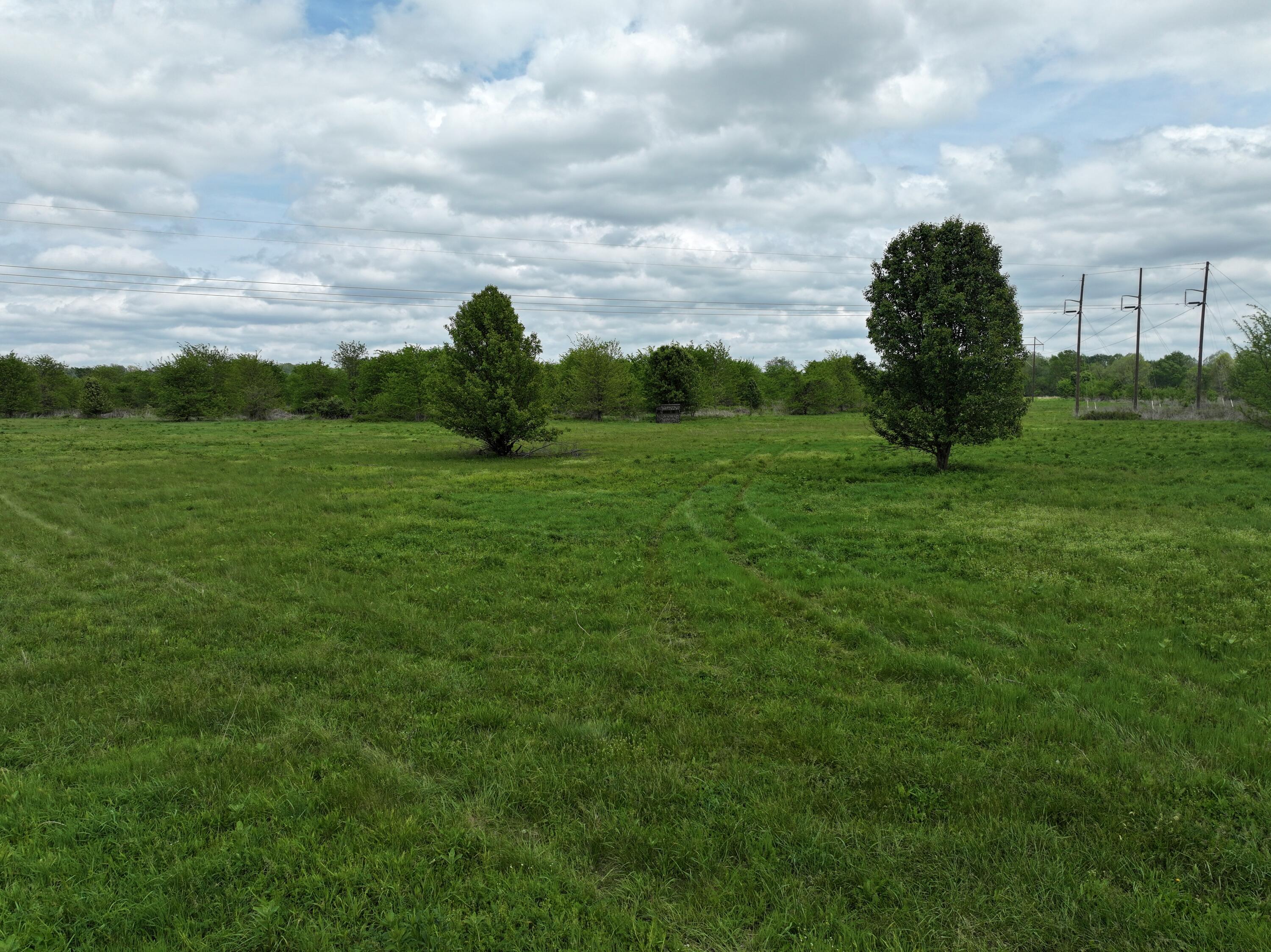 Photo 14 - Land for sale – 000 W Farm Road 186   Springfield, MO