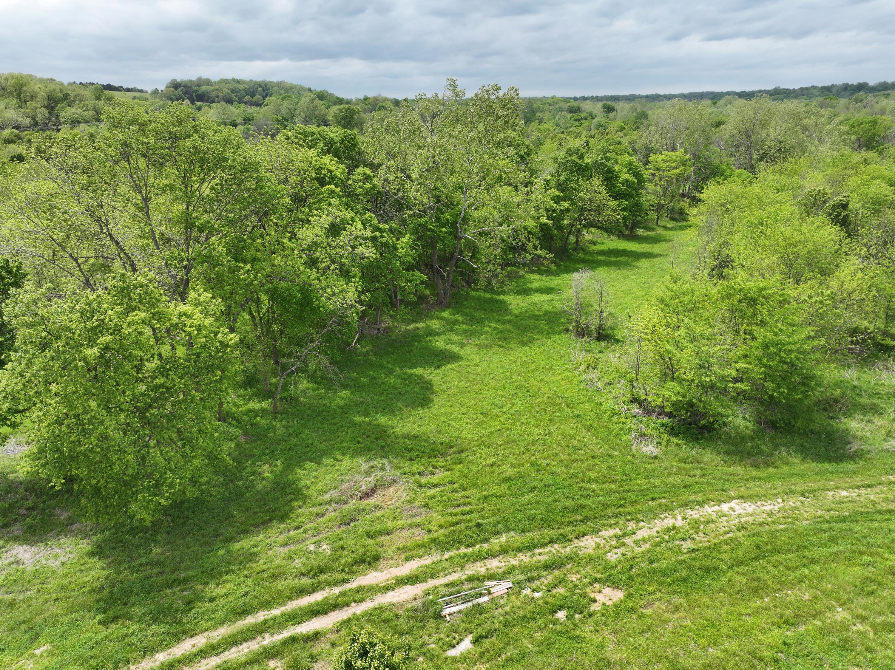 Photo 5 - Land for sale – 000 W Farm Road 186   Springfield, MO