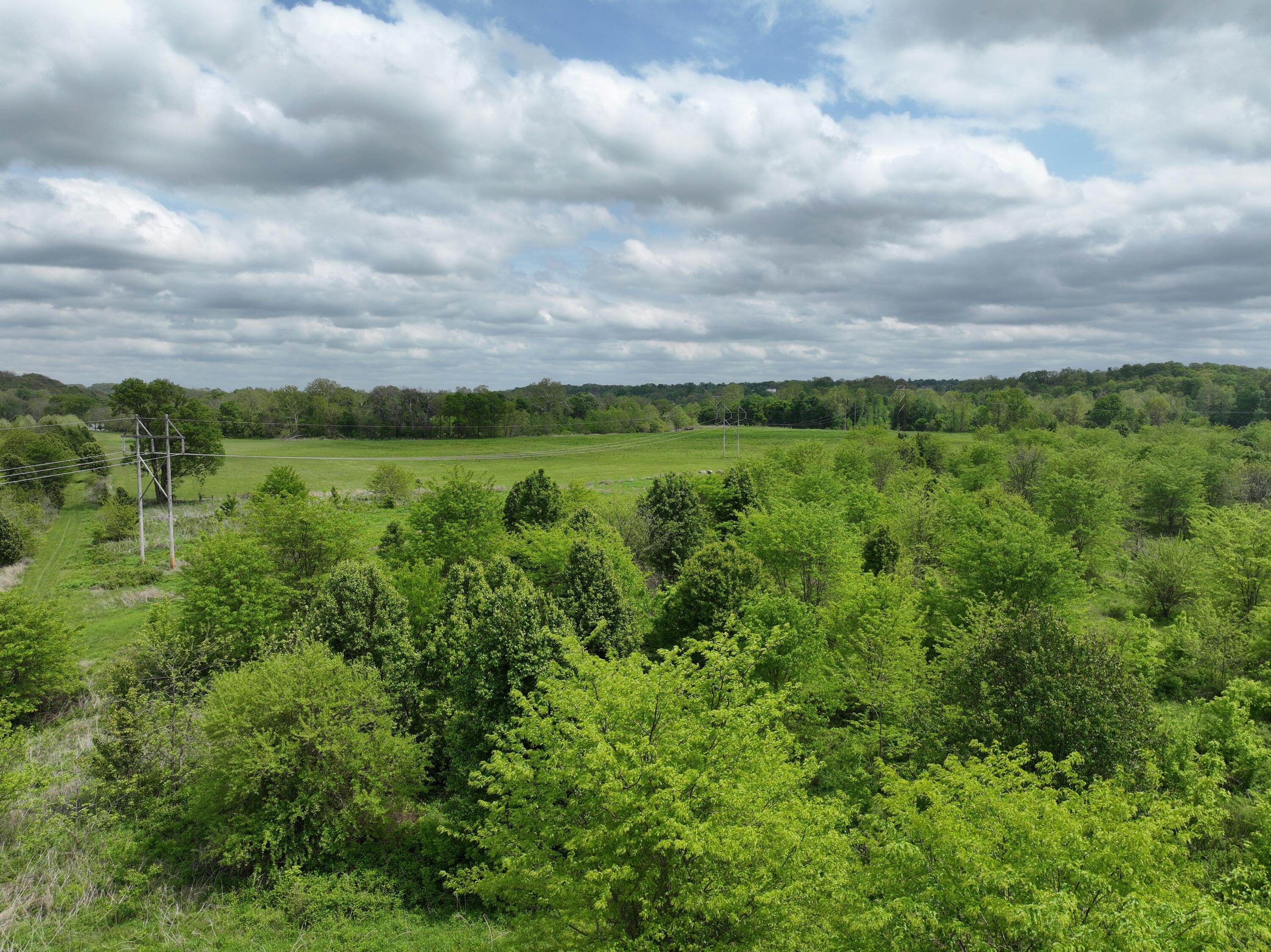 Photo 2 - Land for sale – 000 W Farm Road 186   Springfield, MO