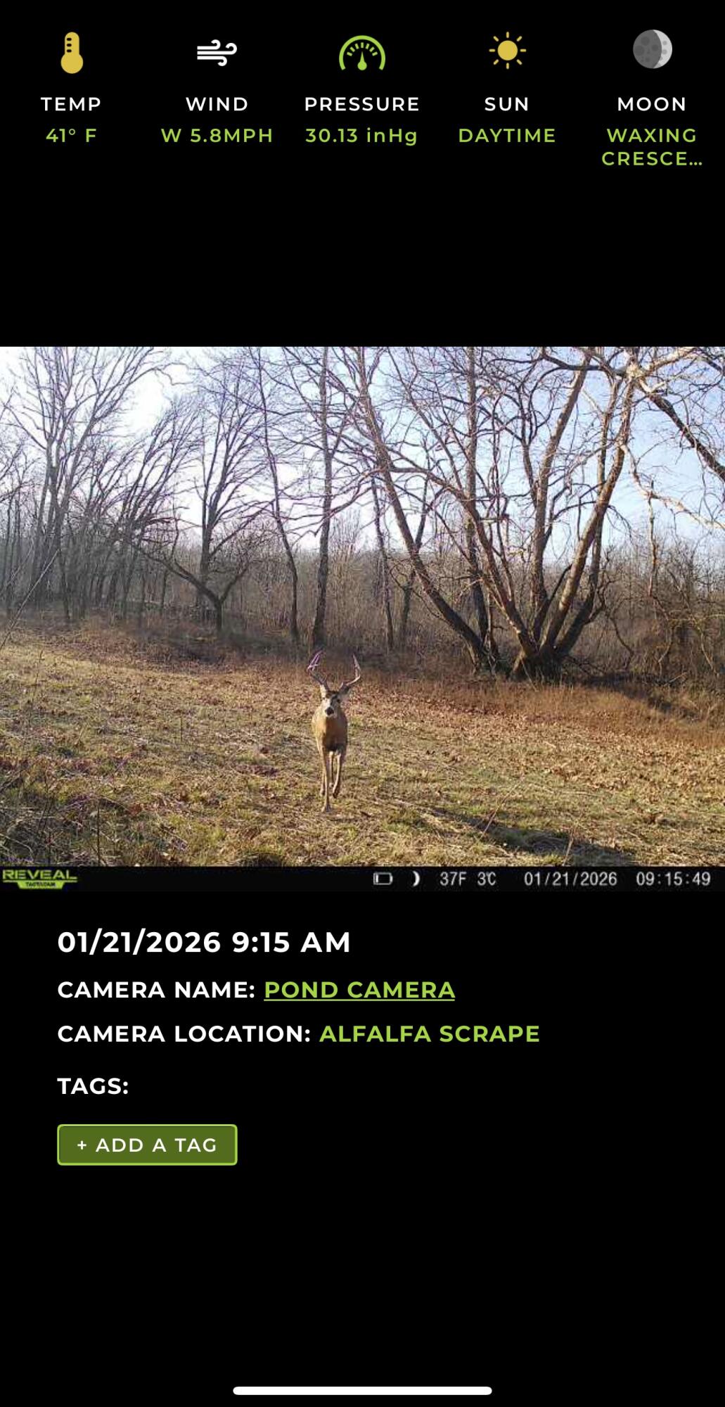Photo 34 - Land for sale – 000 W Farm Road 186   Springfield, MO