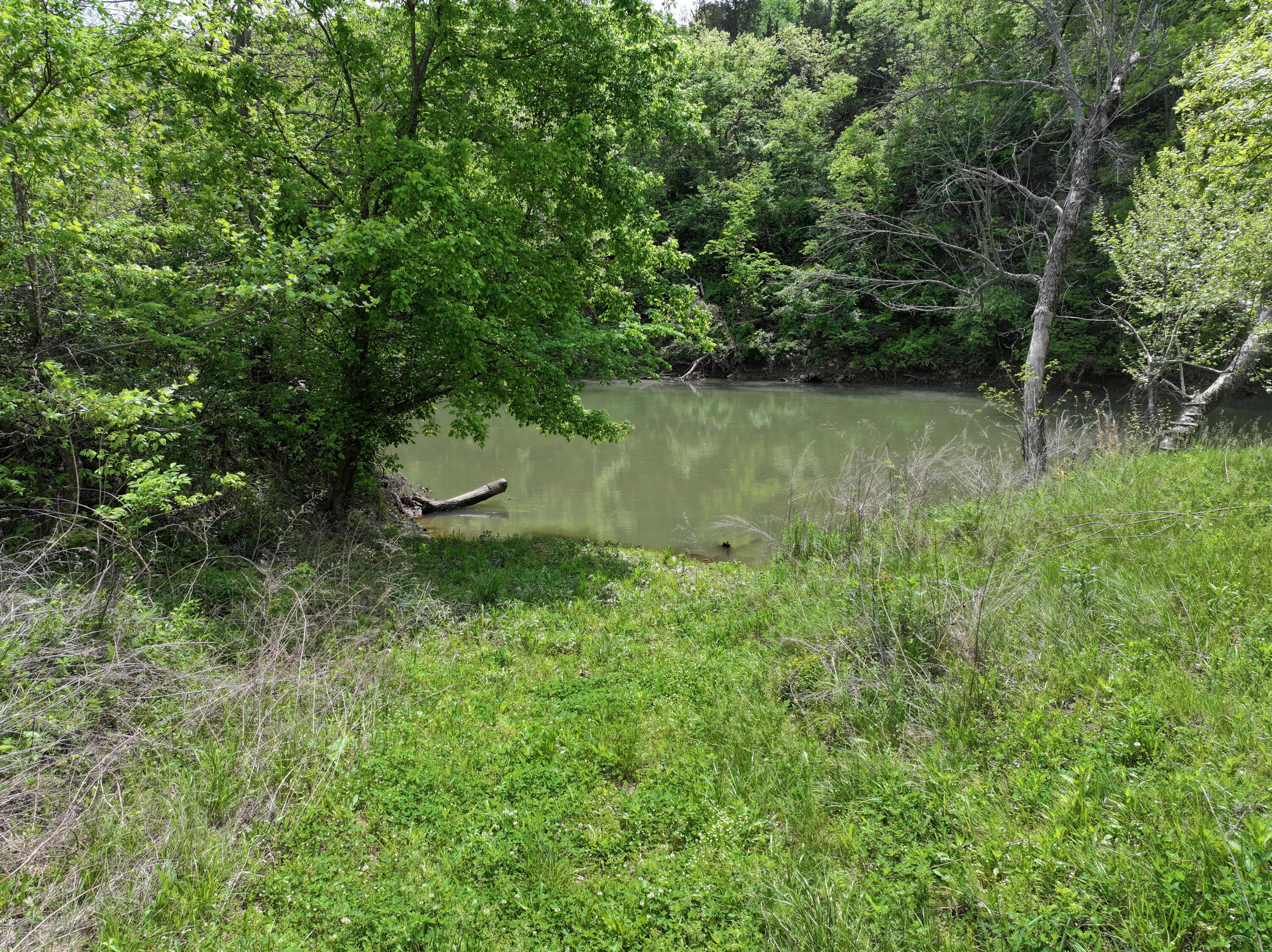 Photo 23 - Land for sale – 000 W Farm Road 186   Springfield, MO