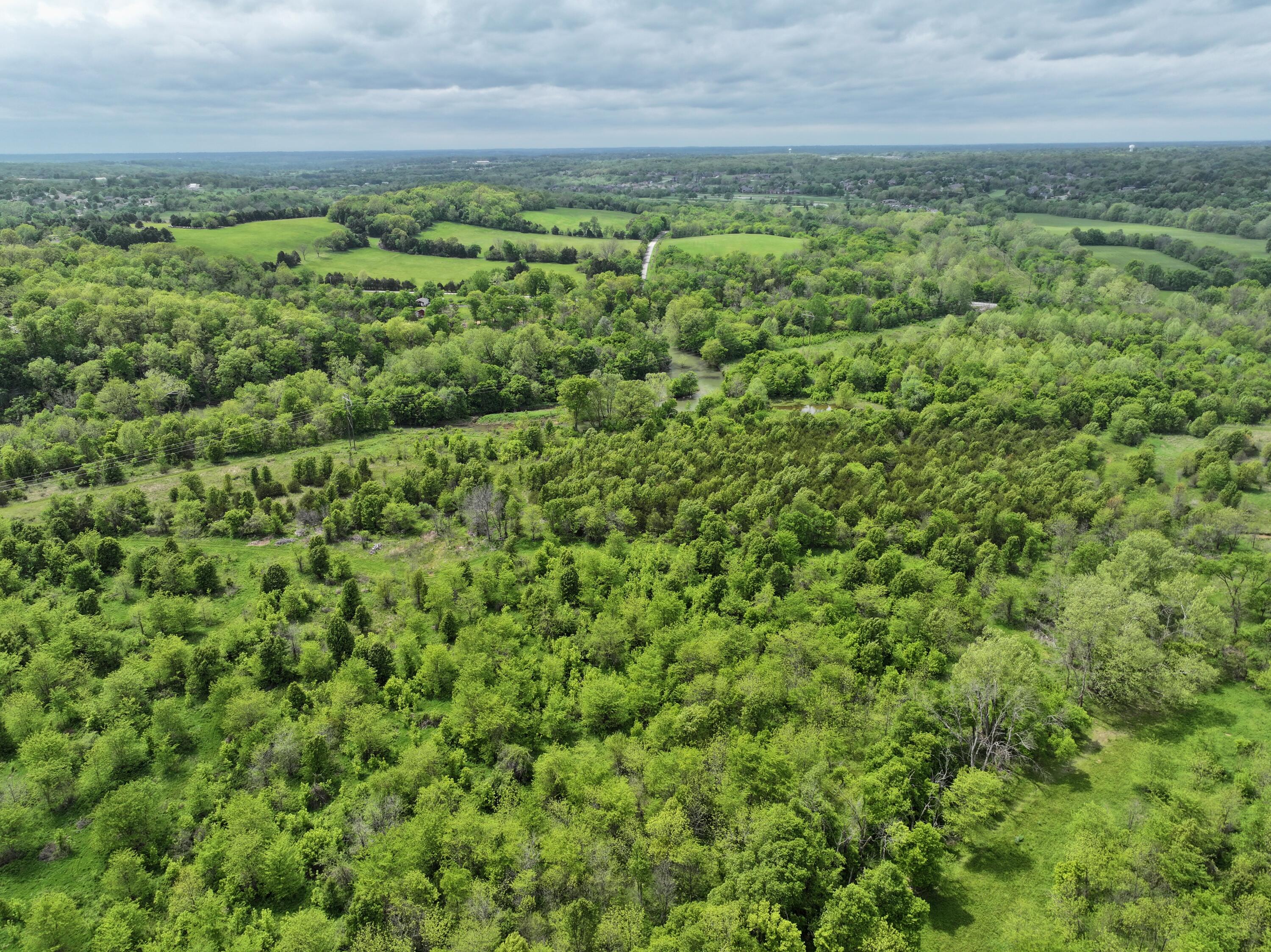 Land for sale – 000 W Farm Road 186   Springfield, MO