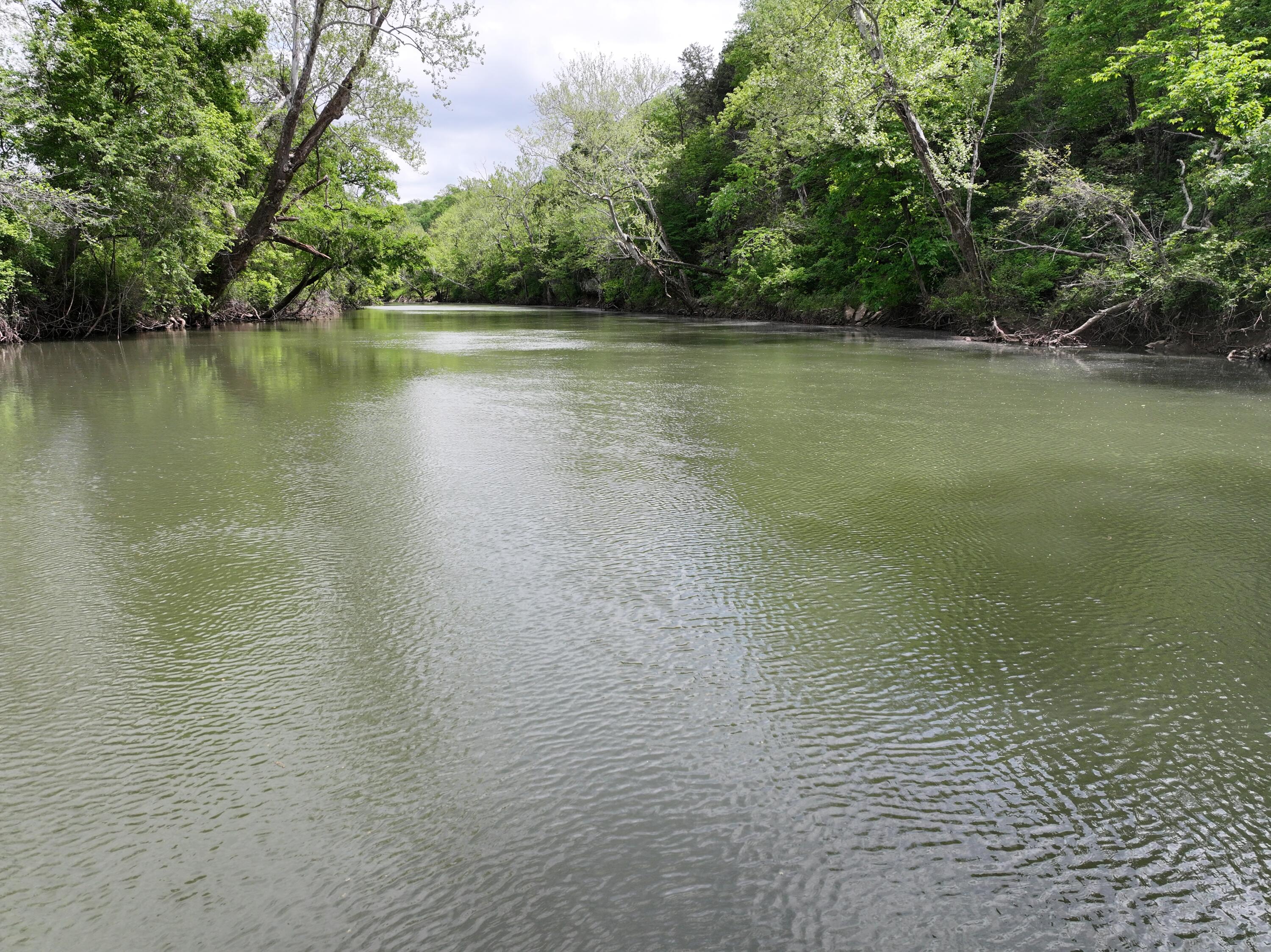 Photo 19 - Land for sale – 000 W Farm Road 186   Springfield, MO