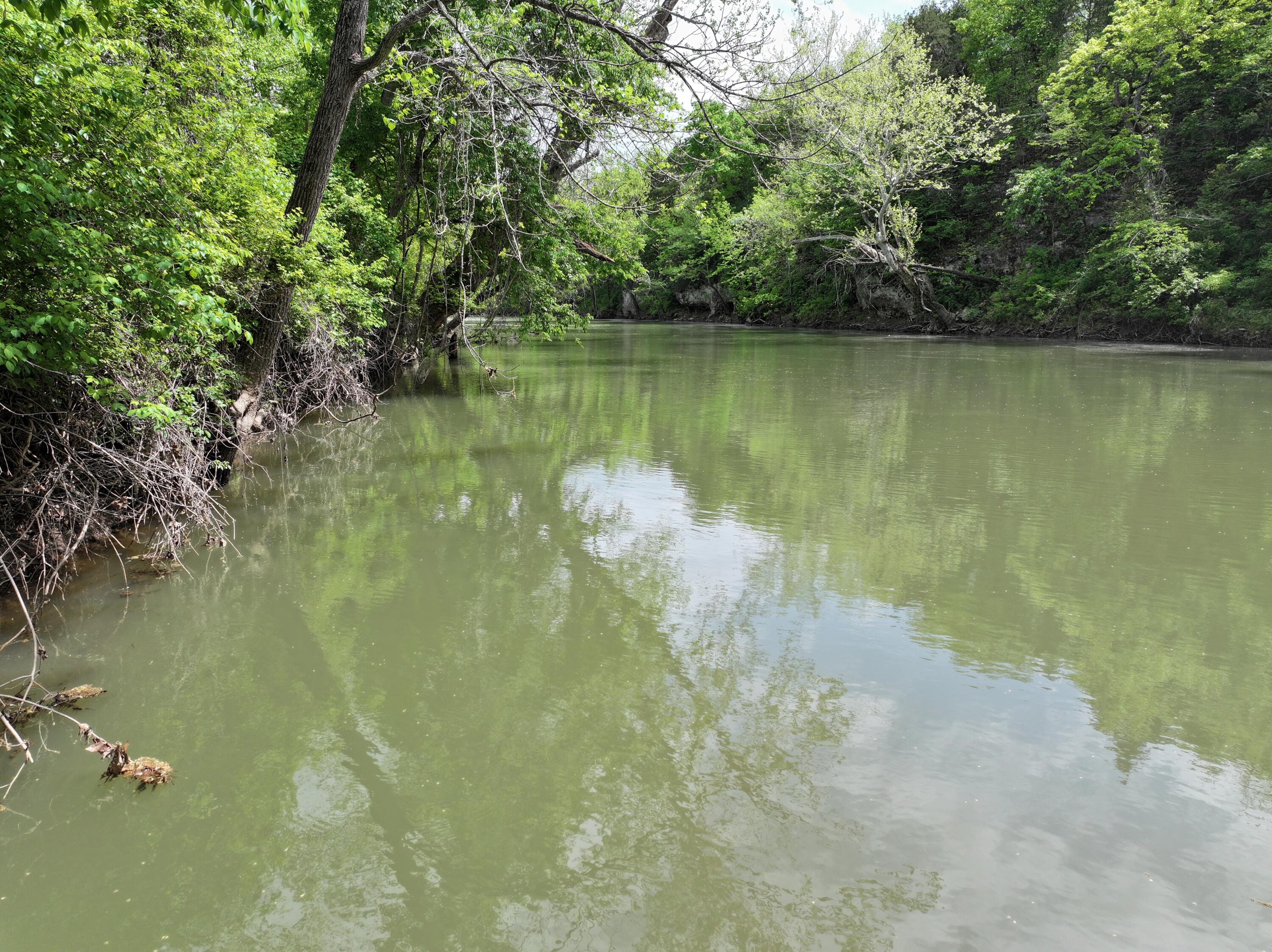 Photo 22 - Land for sale – 000 W Farm Road 186   Springfield, MO