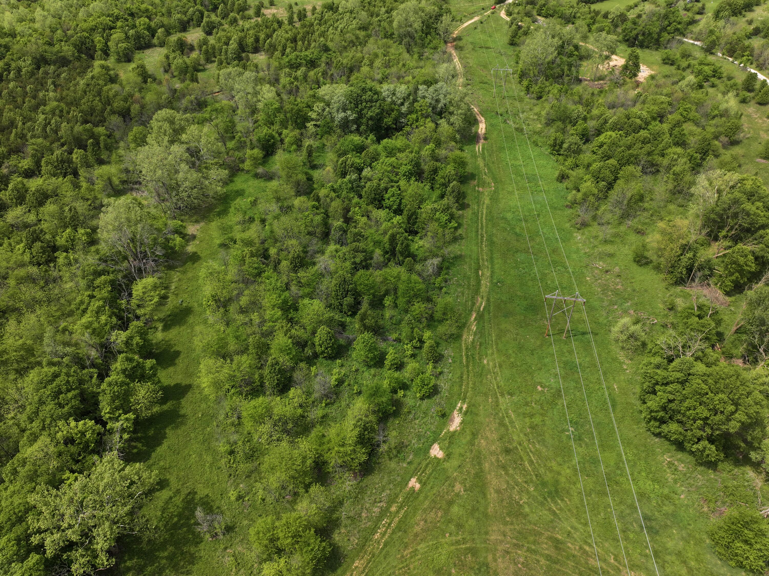 Photo 4 - Land for sale – 000 W Farm Road 186   Springfield, MO