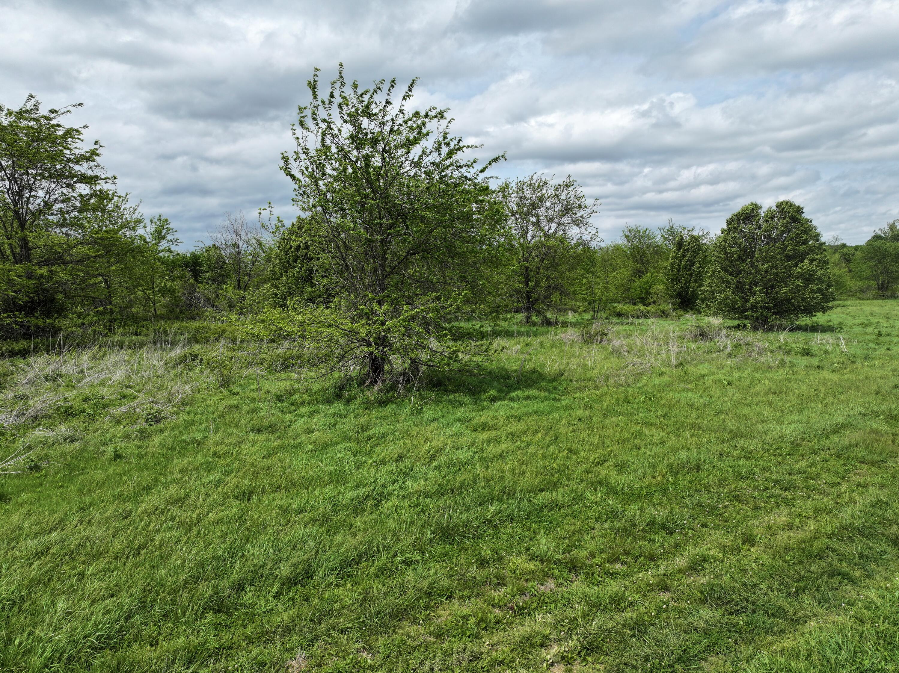 Photo 8 - Land for sale – 000 W Farm Road 186   Springfield, MO