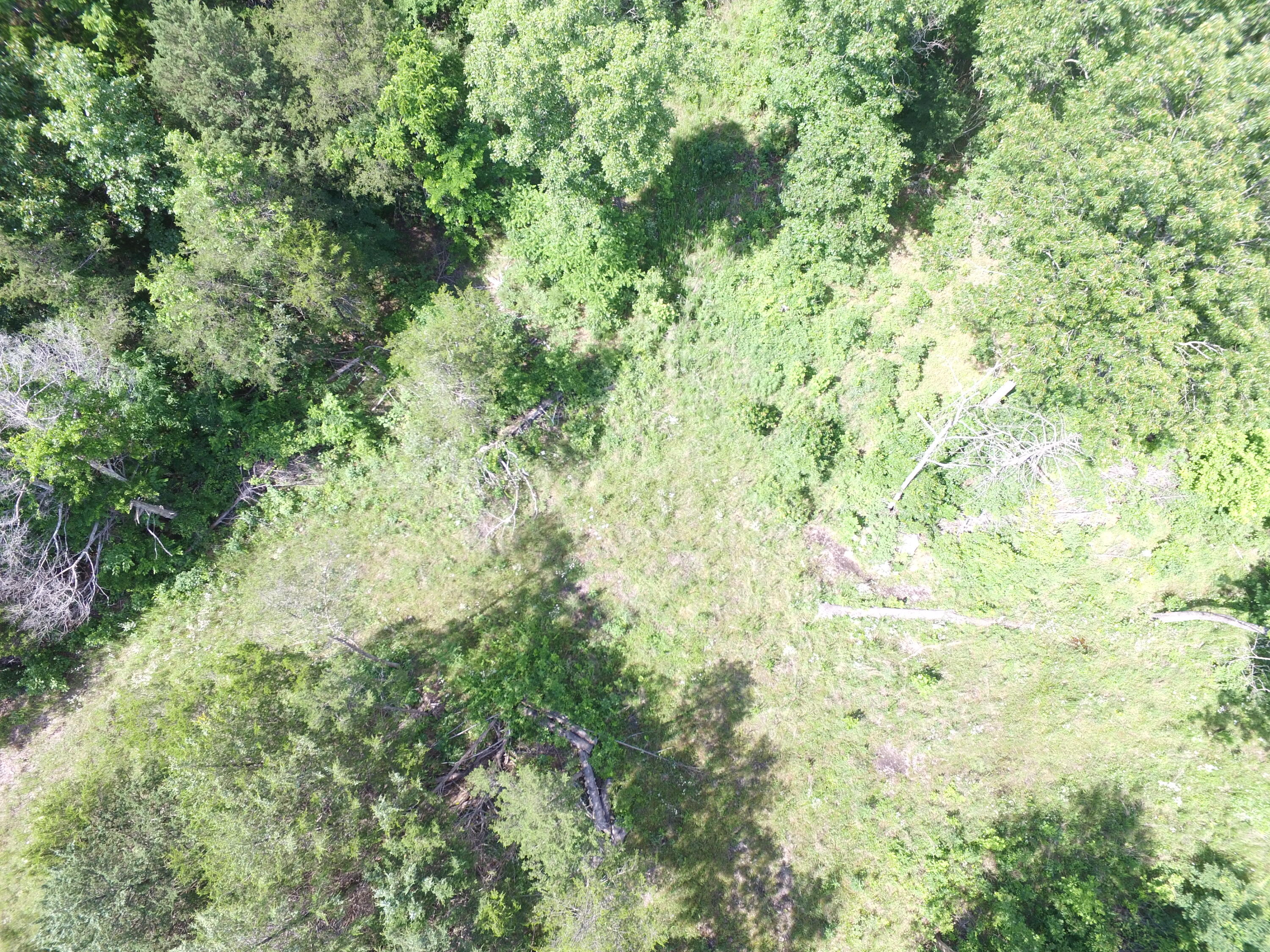 Photo 21 - Land for sale – 000  Yy 15 Road  Shell Knob, MO