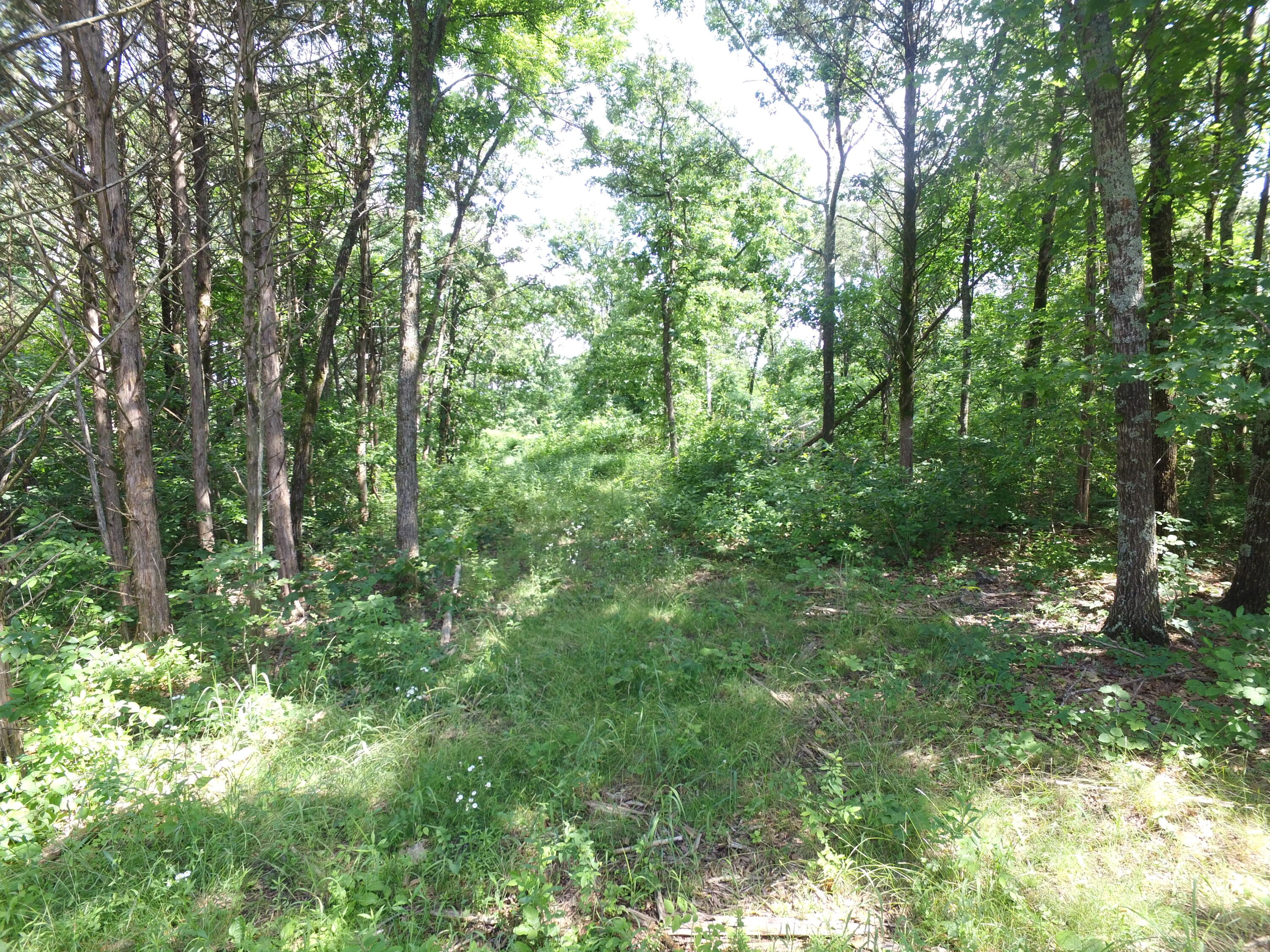 Photo 22 - Land for sale – 000  Yy 15 Road  Shell Knob, MO