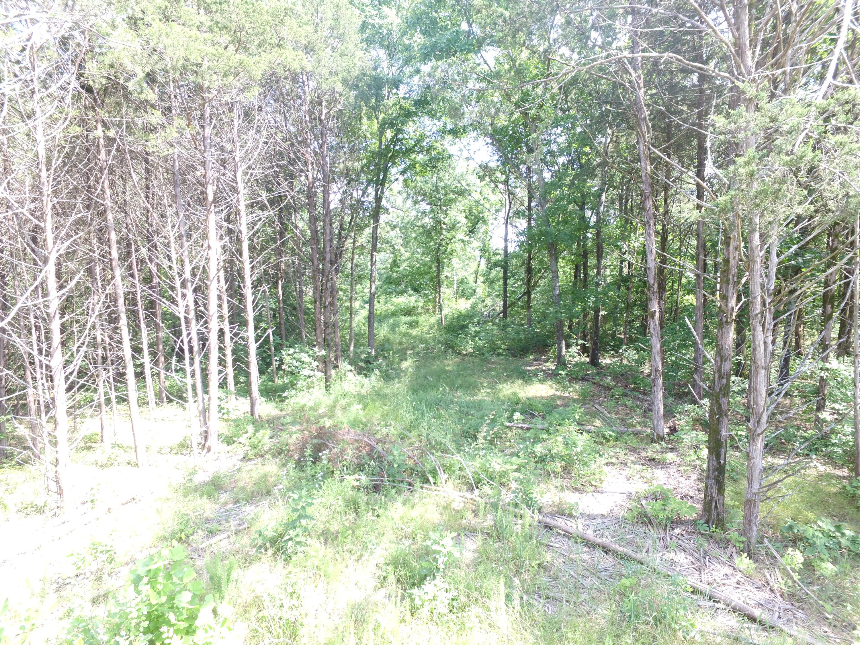 Photo 23 - Land for sale – 000  Yy 15 Road  Shell Knob, MO