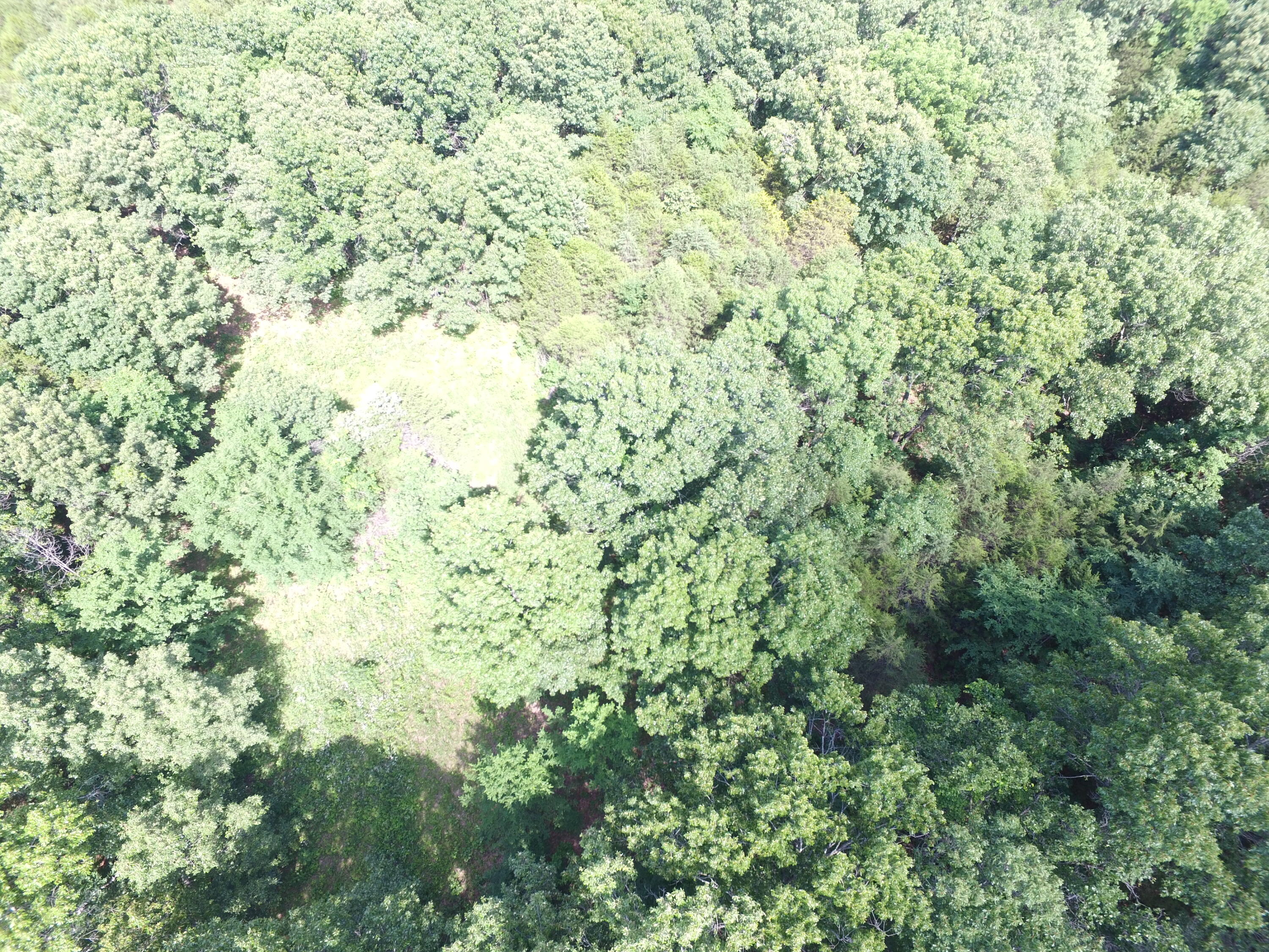 Photo 16 - Land for sale – 000  Yy 15 Road  Shell Knob, MO