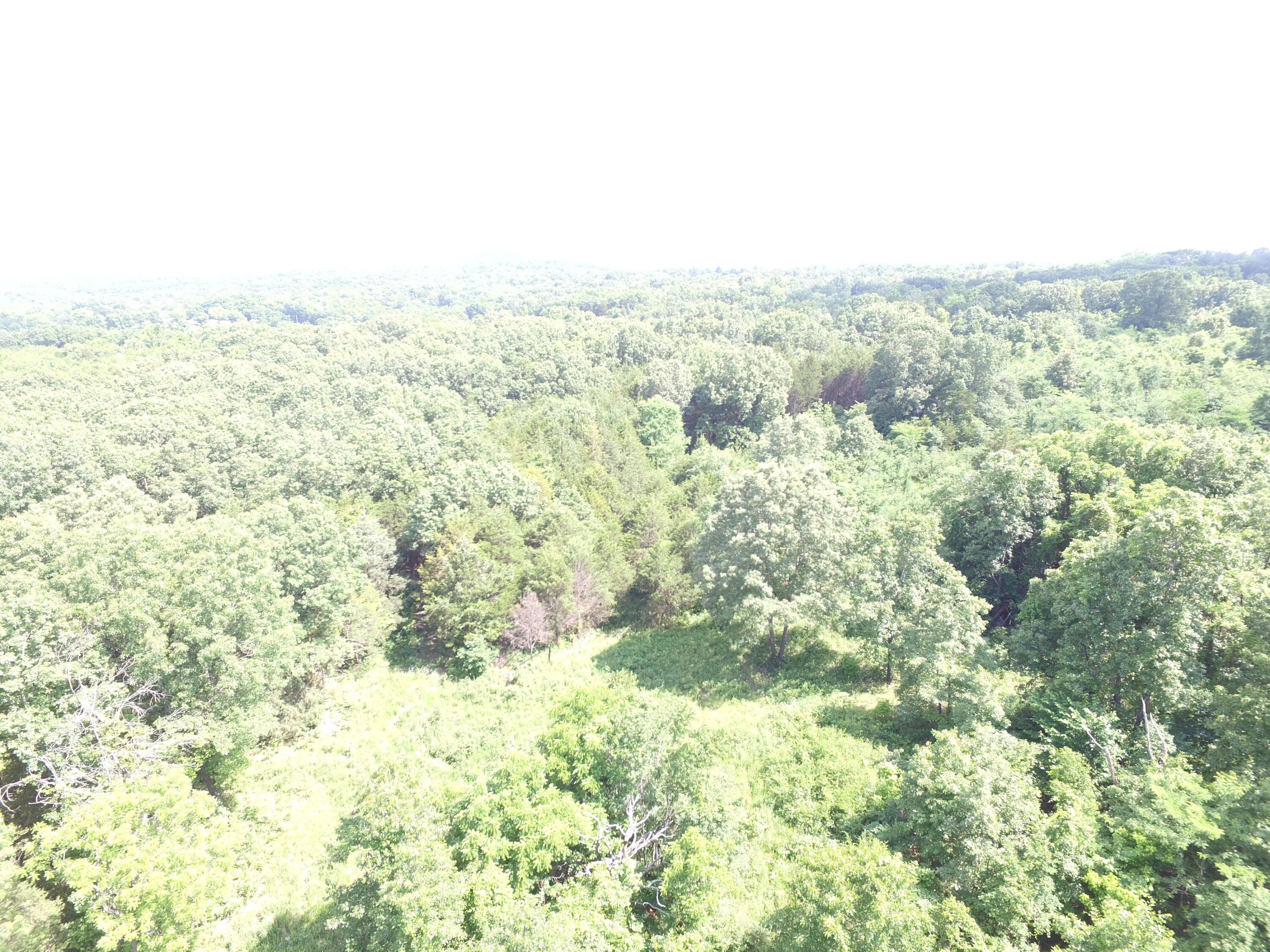 Photo 18 - Land for sale – 000  Yy 15 Road  Shell Knob, MO