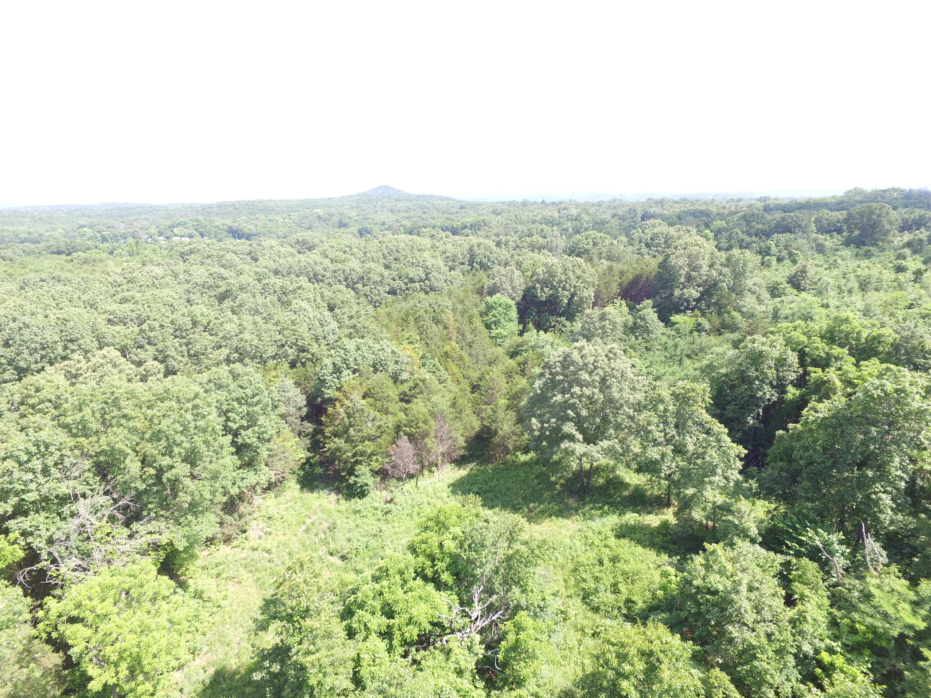 Photo 17 - Land for sale – 000  Yy 15 Road  Shell Knob, MO