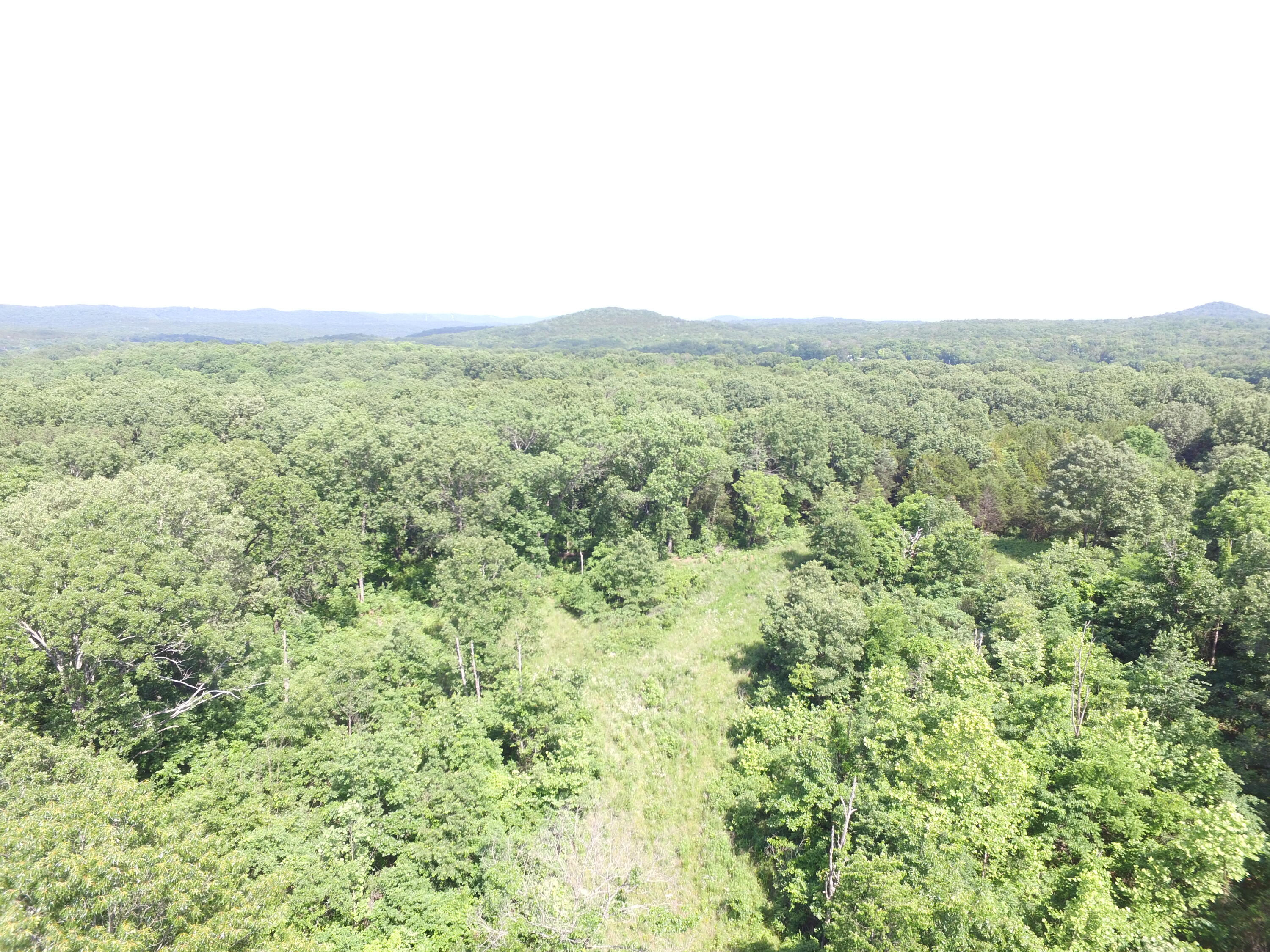 Photo 19 - Land for sale – 000  Yy 15 Road  Shell Knob, MO
