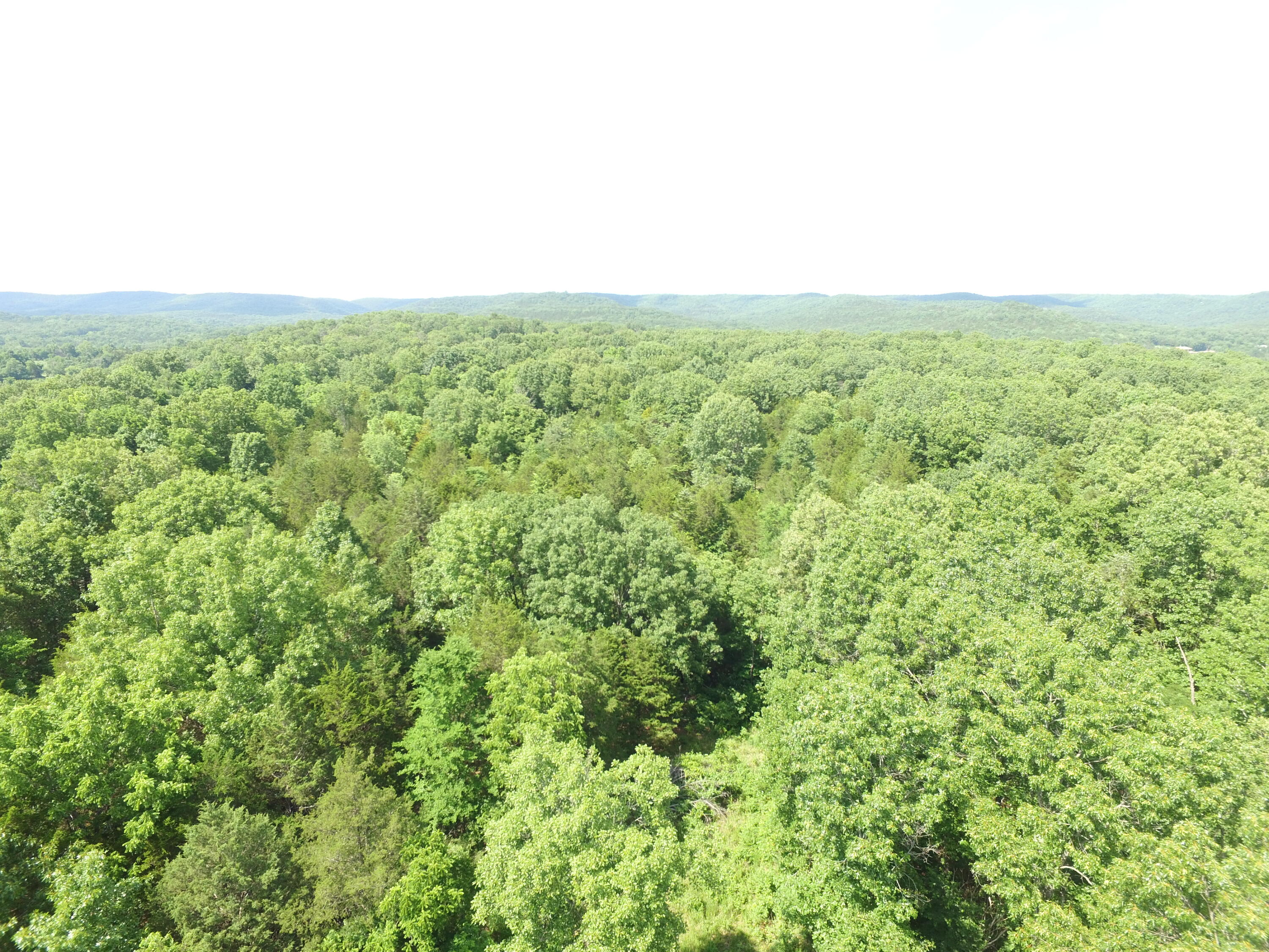 Photo 20 - Land for sale – 000  Yy 15 Road  Shell Knob, MO