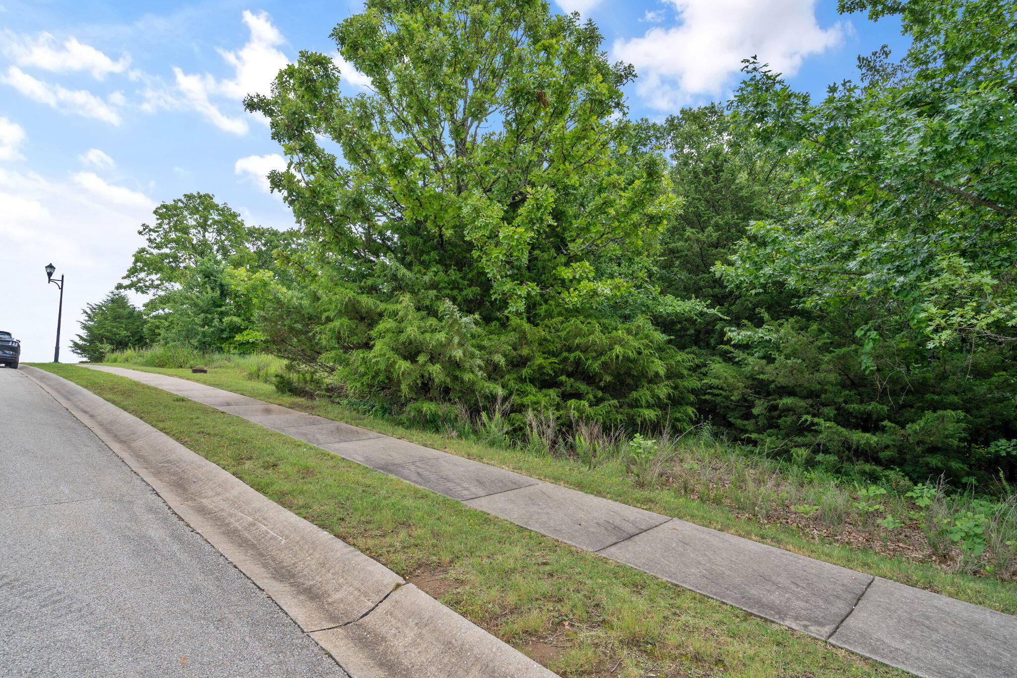 Photo 8 - Land for sale – 219  Forest Oak Drive  Hollister, MO