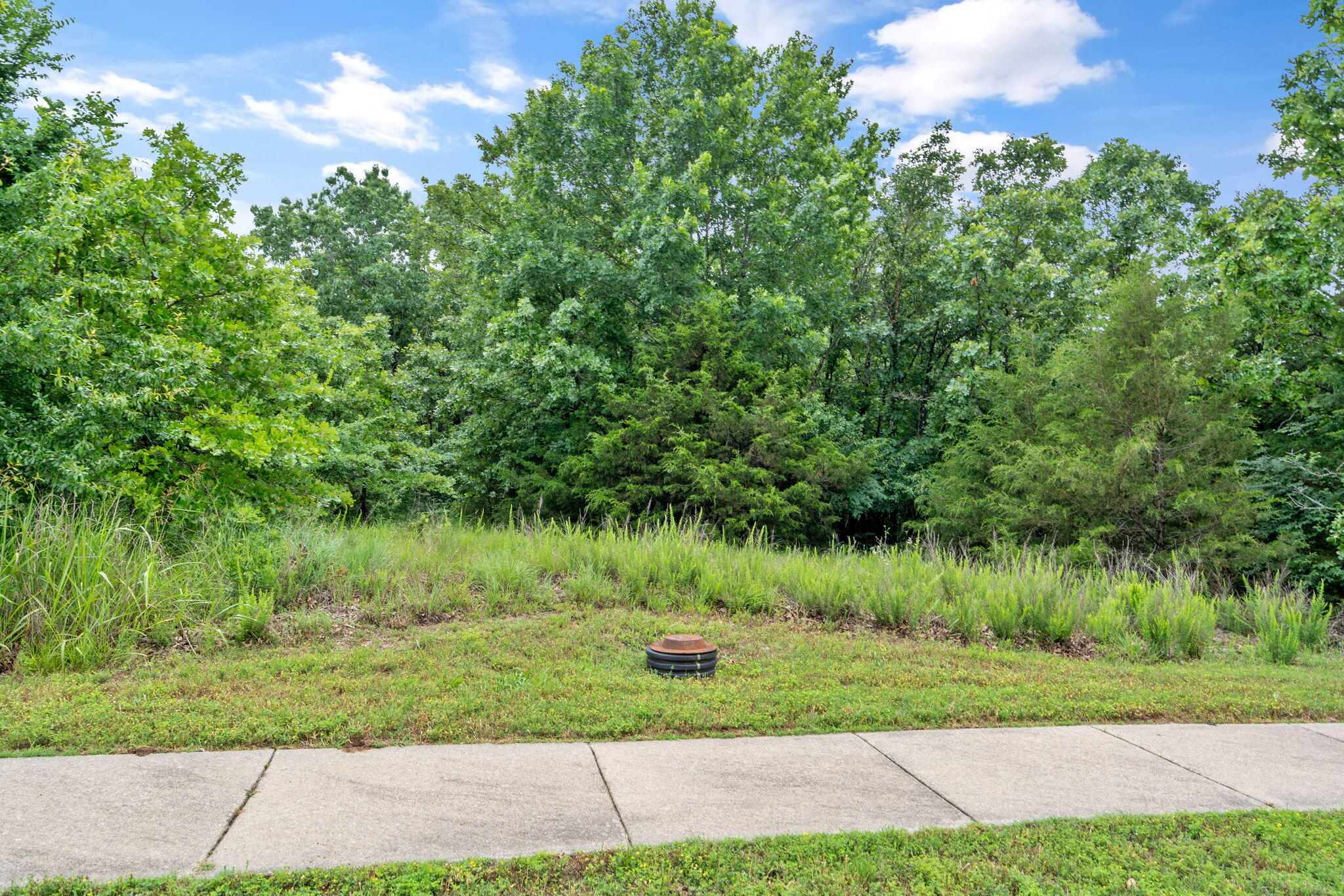 Photo 7 - Land for sale – 219  Forest Oak Drive  Hollister, MO