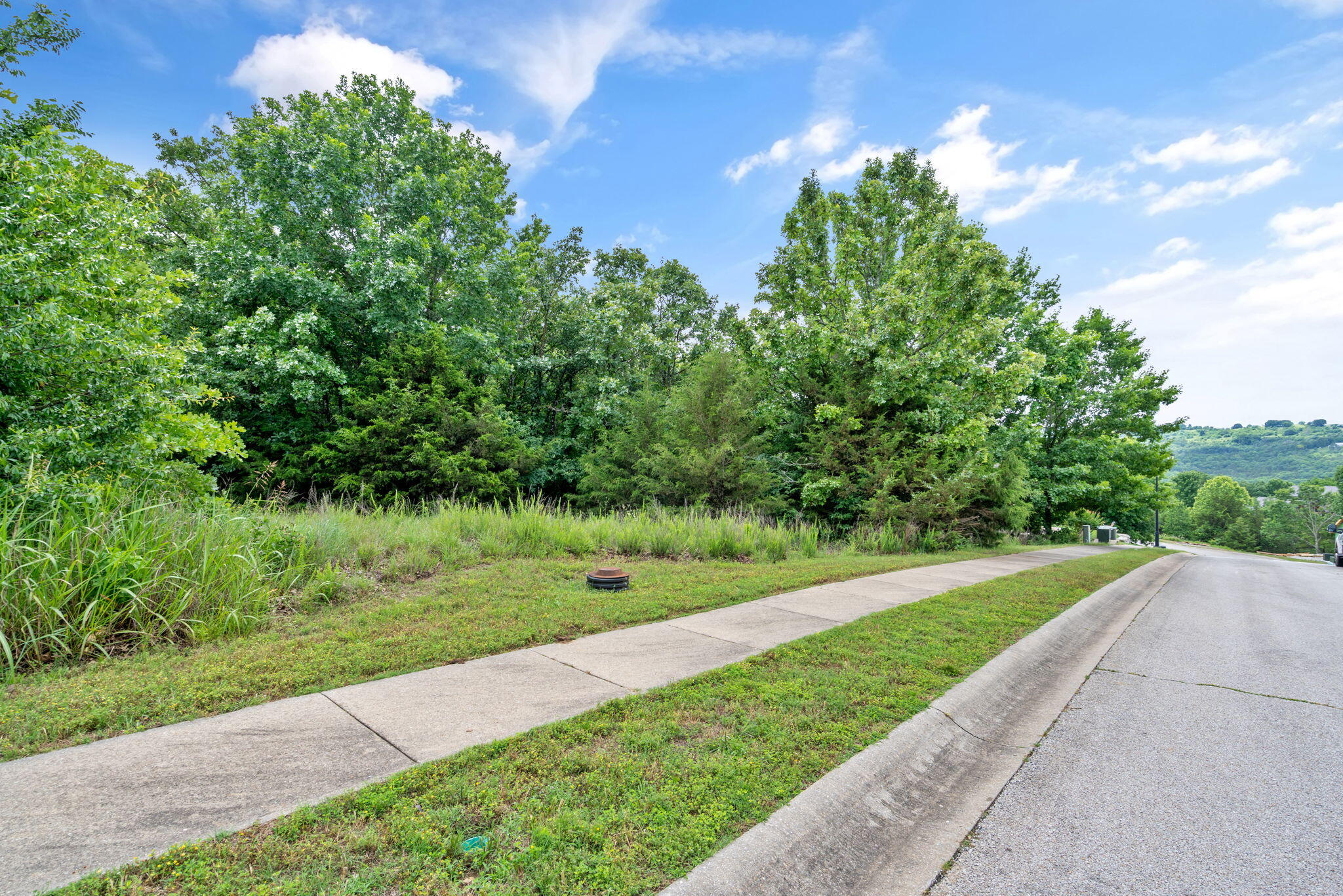 Photo 6 - Land for sale – 219  Forest Oak Drive  Hollister, MO