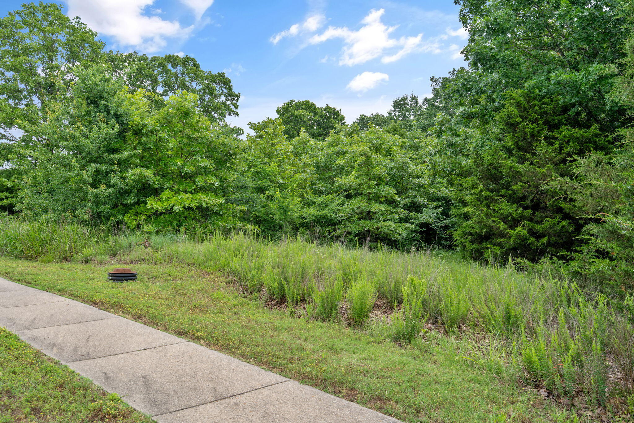 Photo 9 - Land for sale – 219  Forest Oak Drive  Hollister, MO