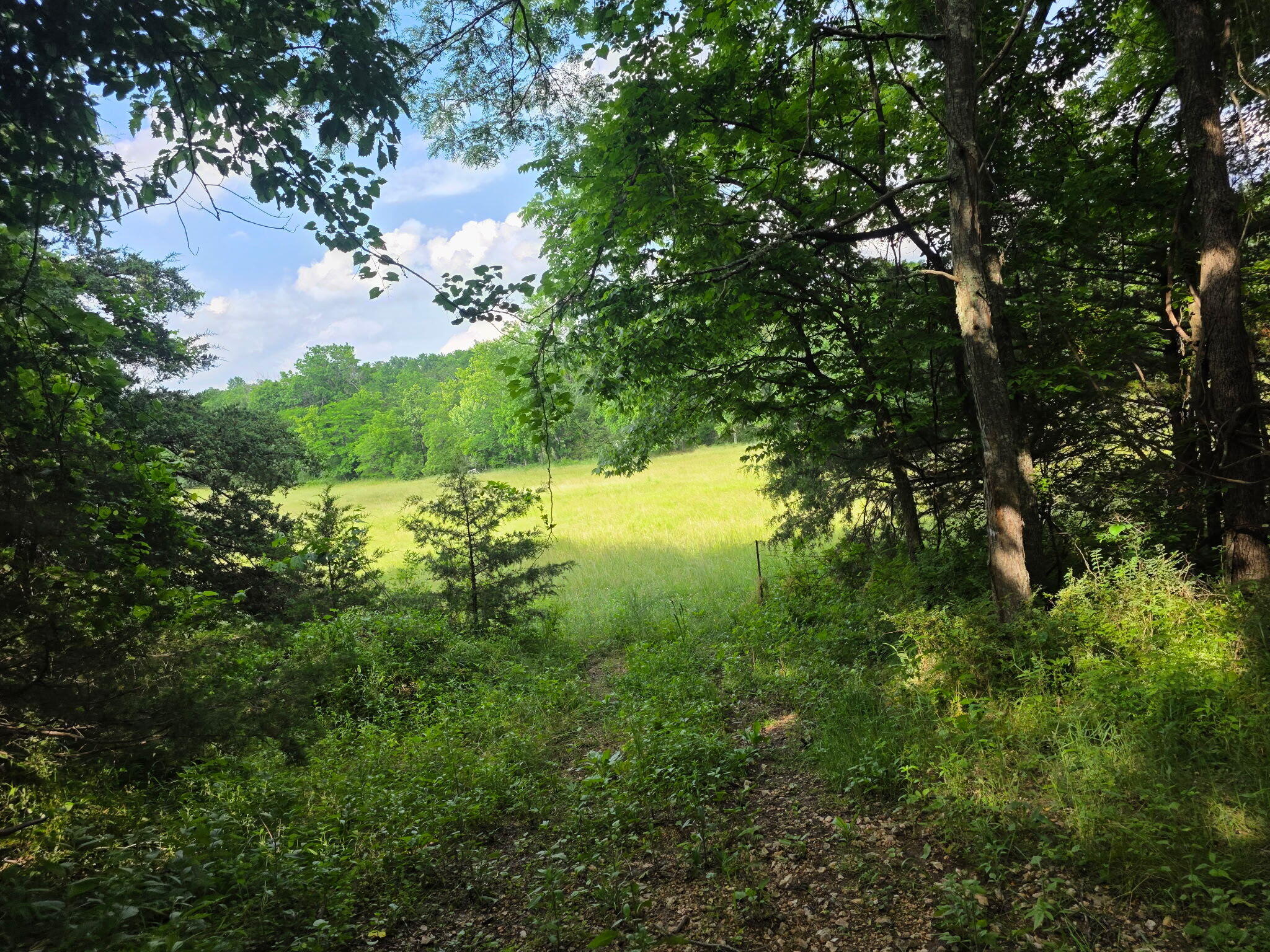Photo 34 - Land for sale – 0000  State Highway Mm   Niangua, MO
