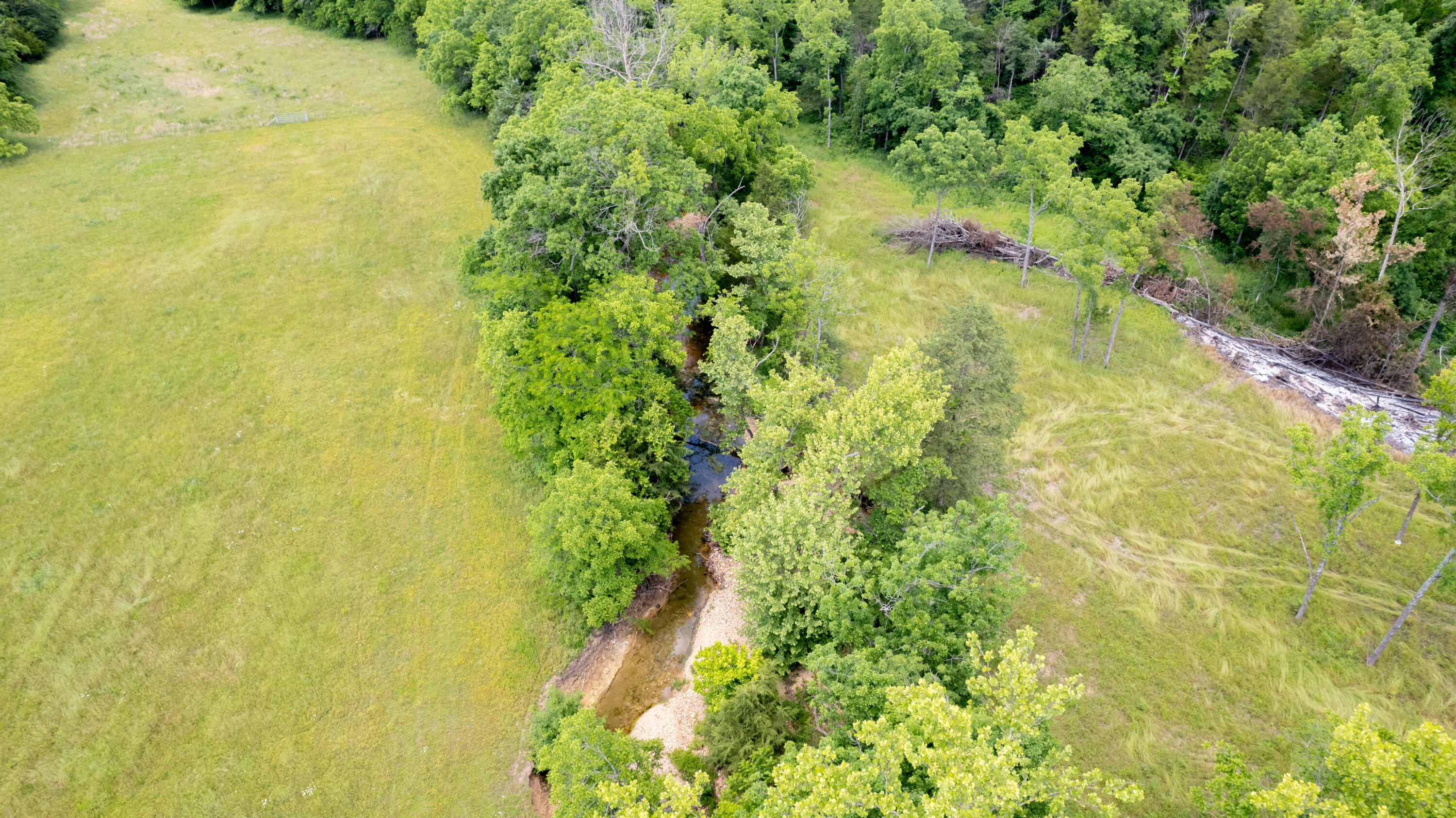 Photo 3 - Land for sale – 0000  State Highway Mm   Niangua, MO