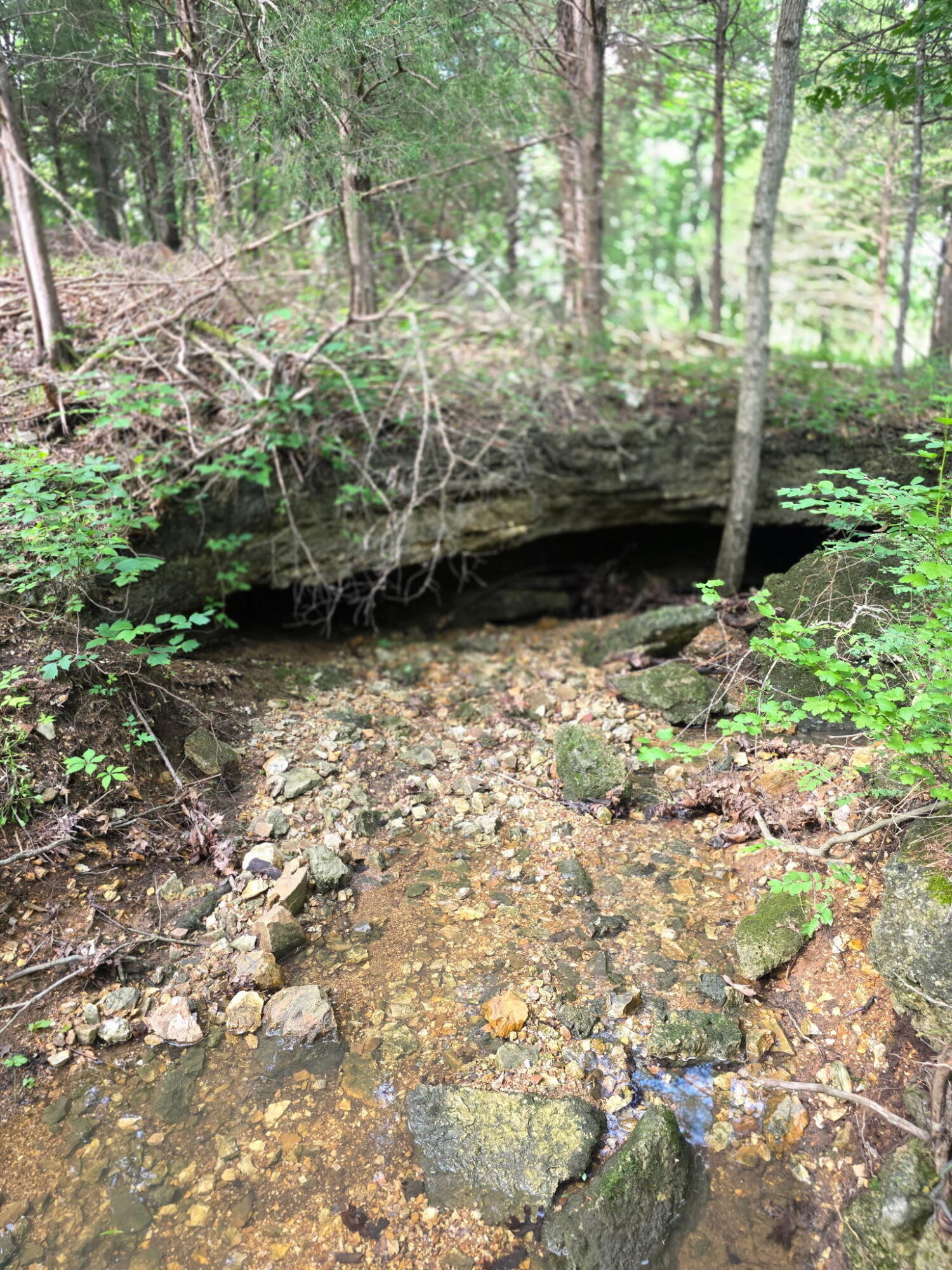 Photo 26 - Land for sale – 0000  State Highway Mm   Niangua, MO