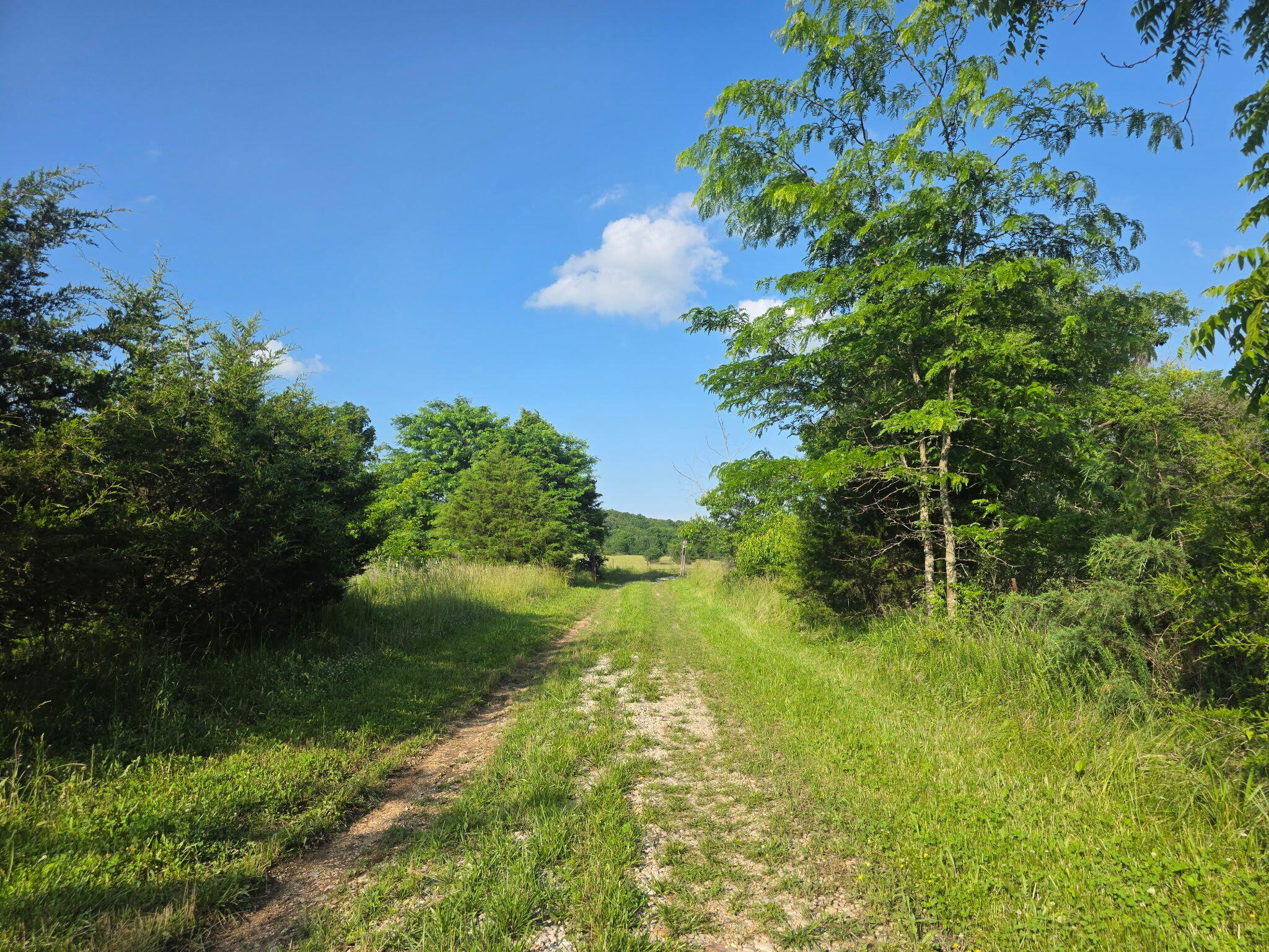 Photo 44 - Land for sale – 0000  State Highway Mm   Niangua, MO