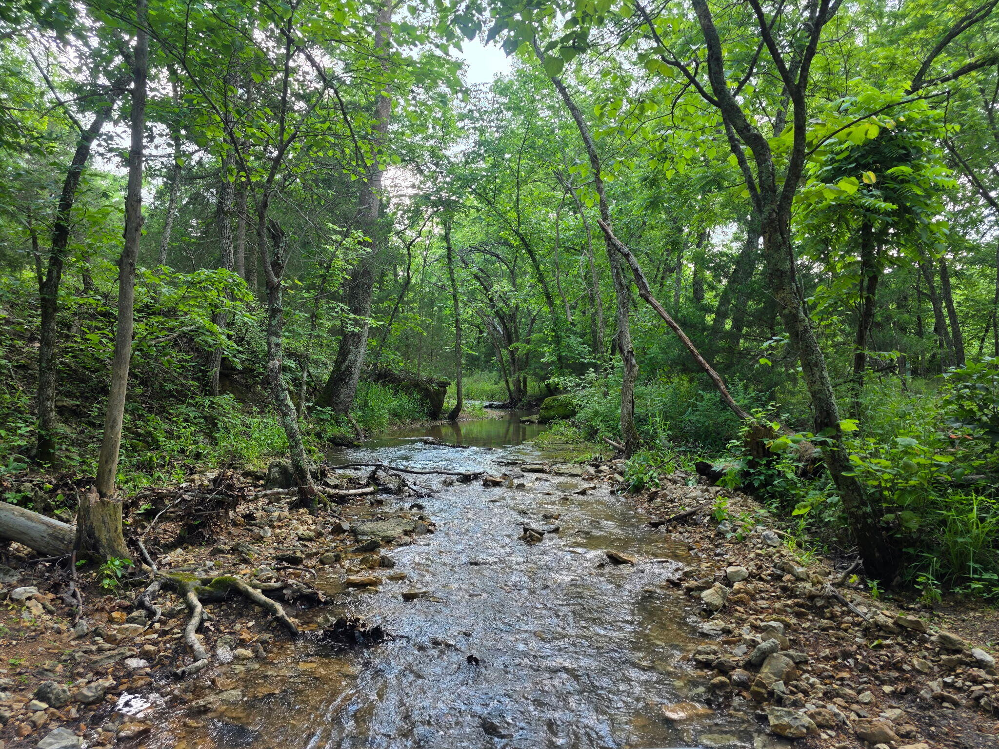 Photo 18 - Land for sale – 0000  State Highway Mm   Niangua, MO