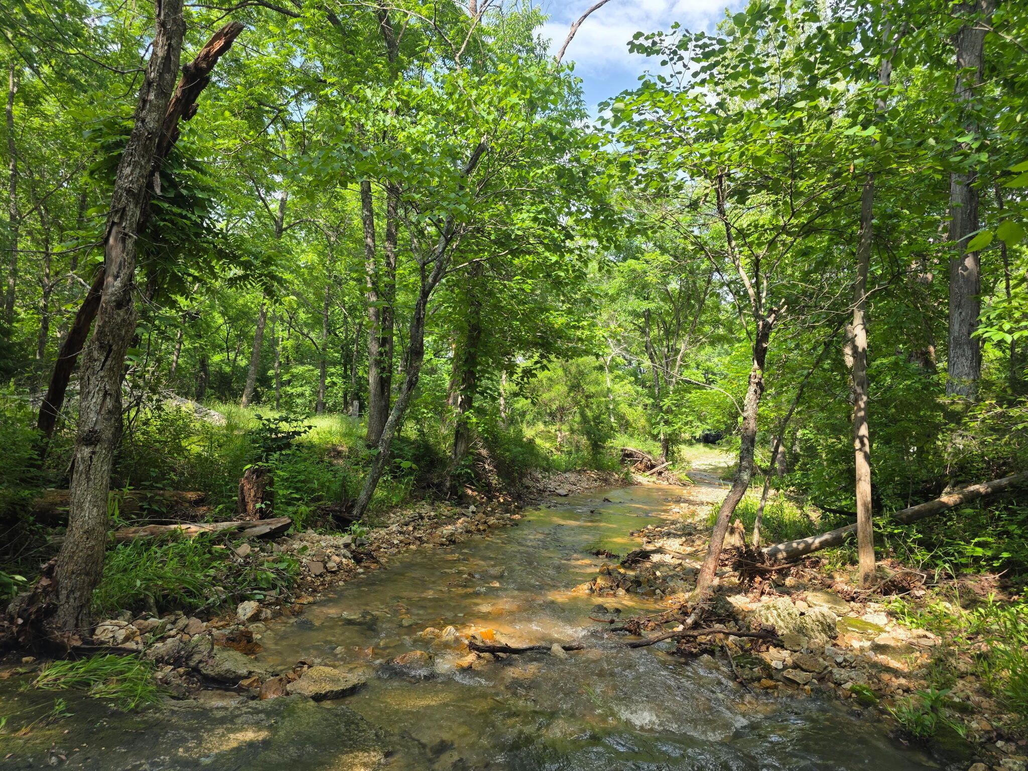 Photo 20 - Land for sale – 0000  State Highway Mm   Niangua, MO